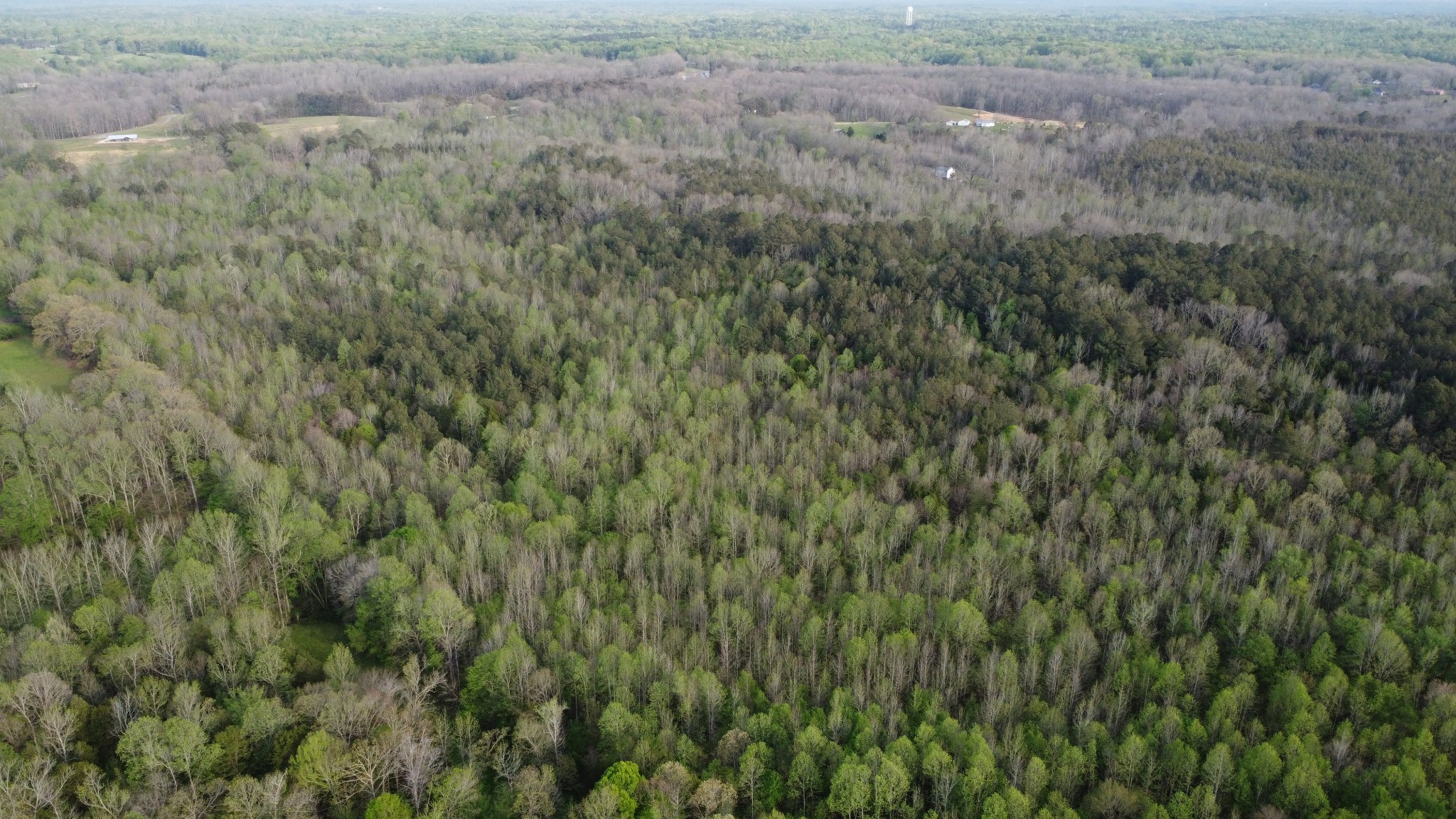 0 Hwy 641 N, N Property Photo 6
