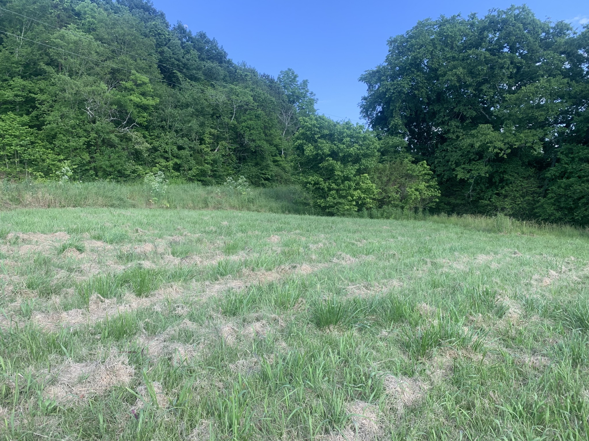 0 Johnson Hill Rd Property Photo