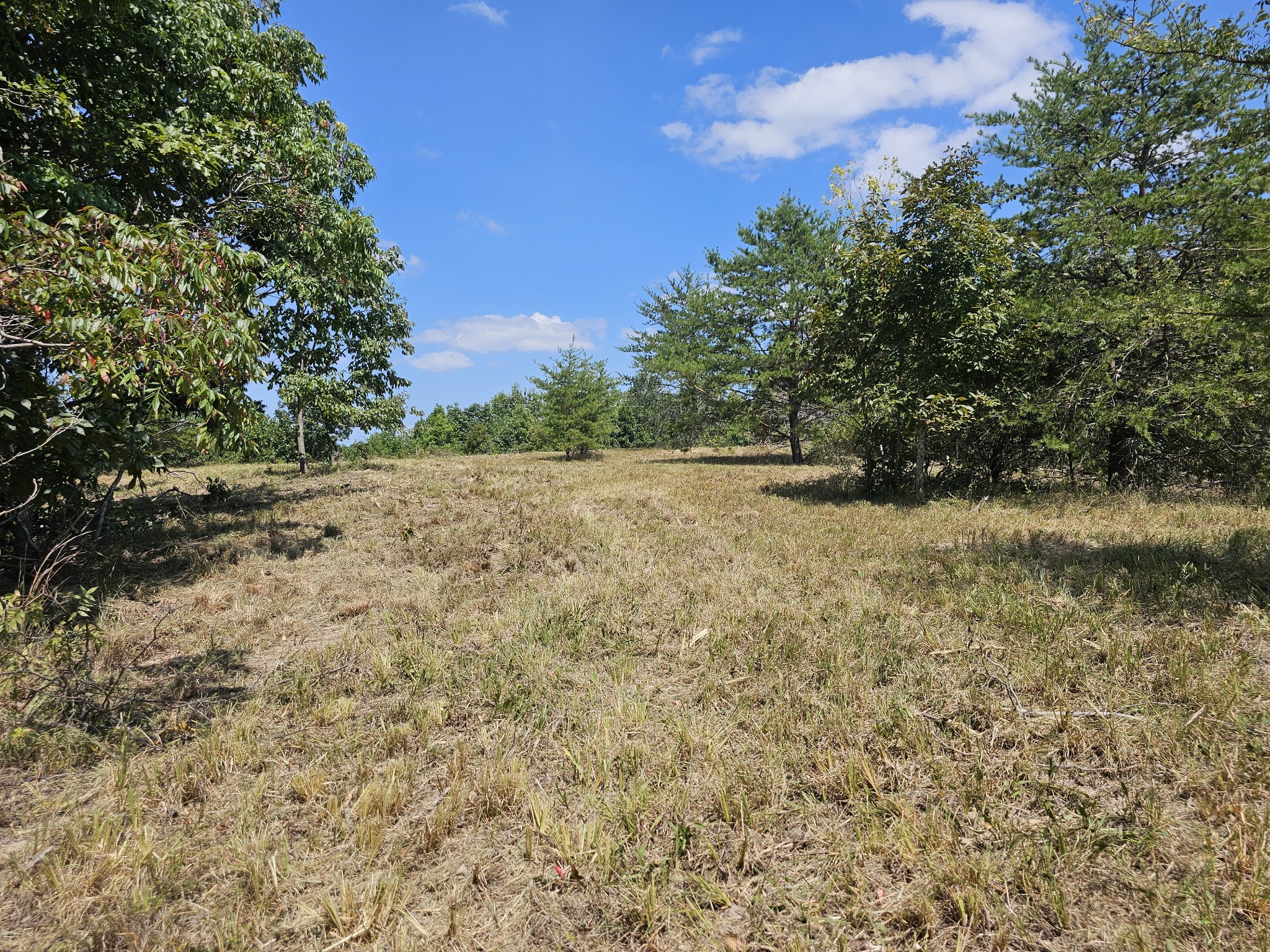 0 Ross Creek Ridge Property Photo 1