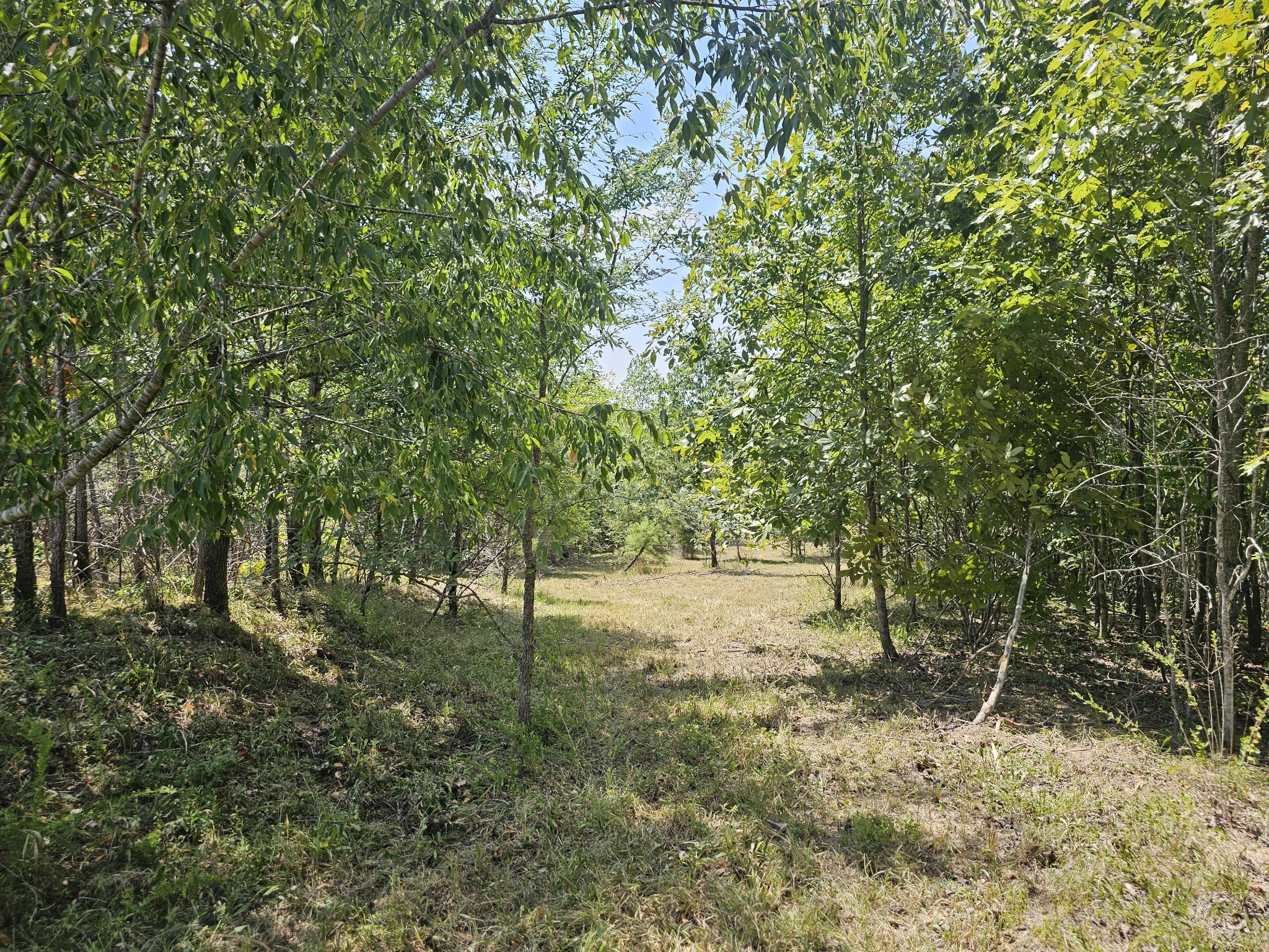 0 Ross Creek Ridge Property Photo 2