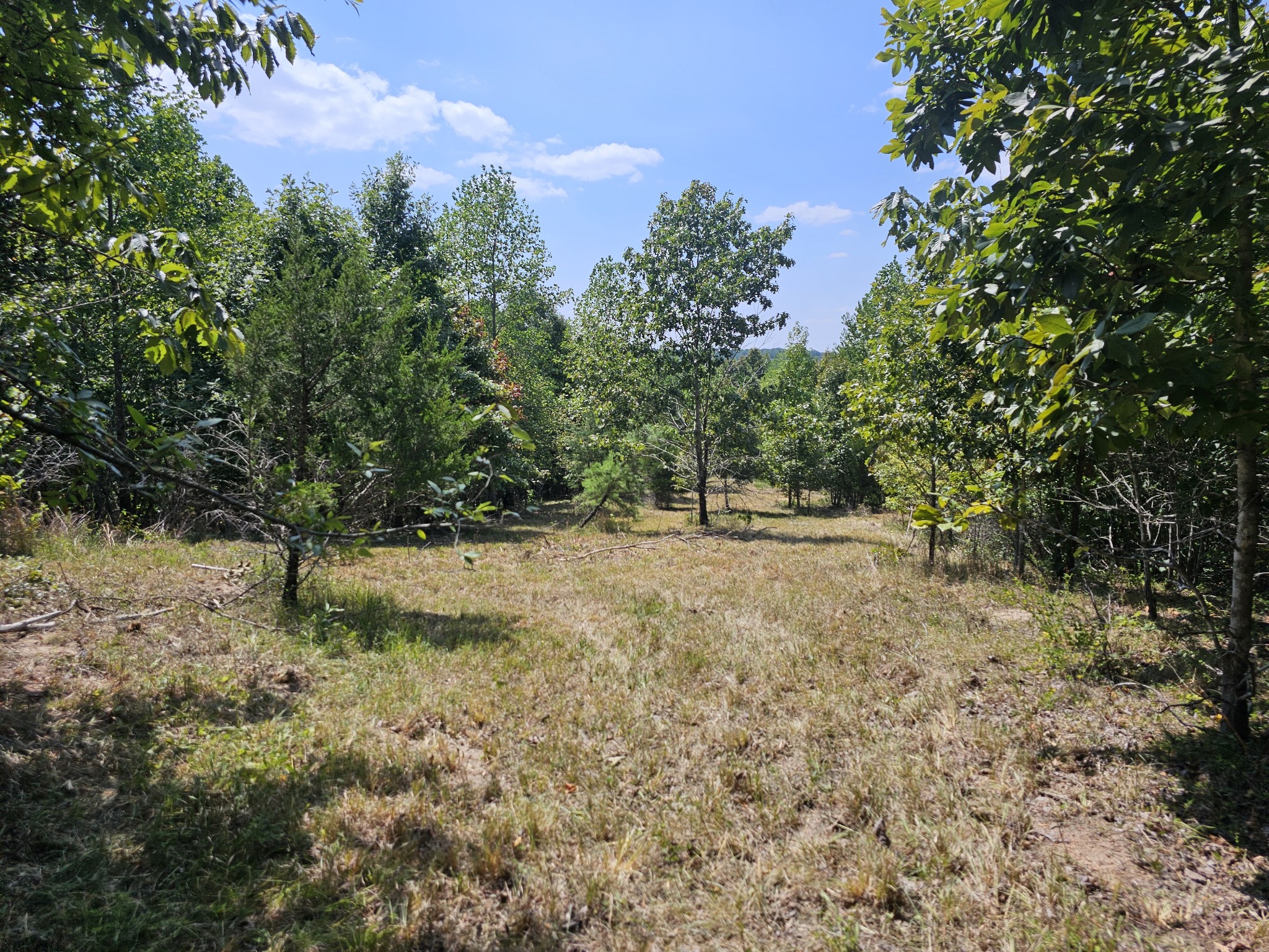 0 Ross Creek Ridge Property Photo 3