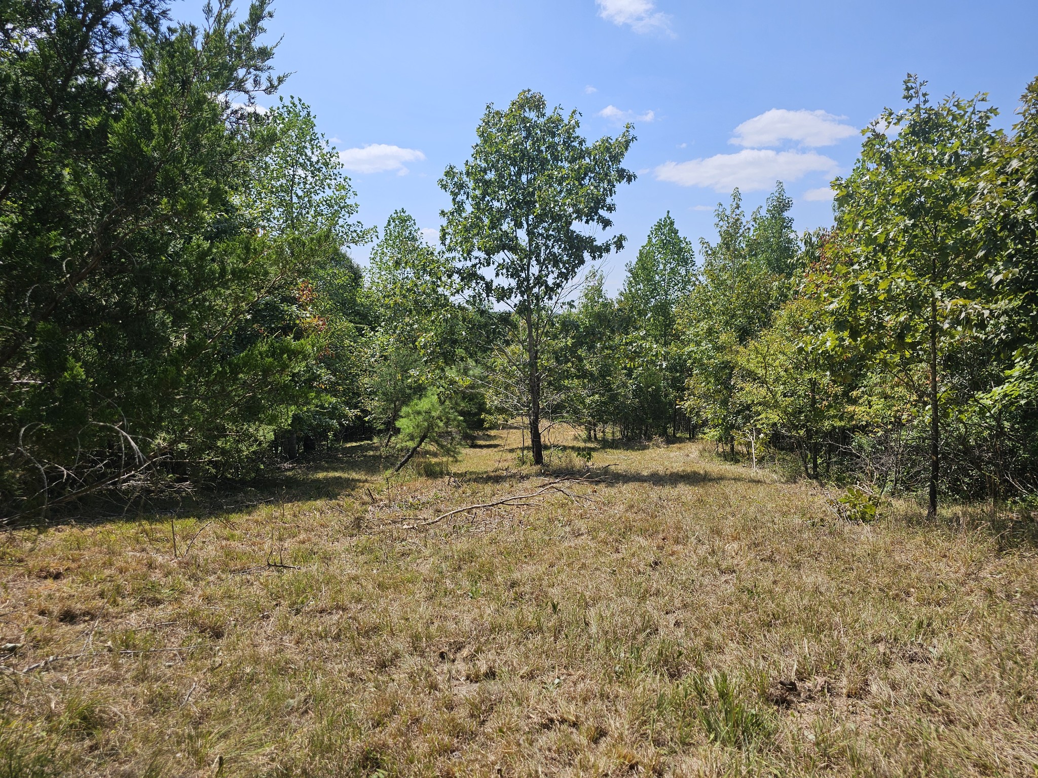 0 Ross Creek Ridge Property Photo 4
