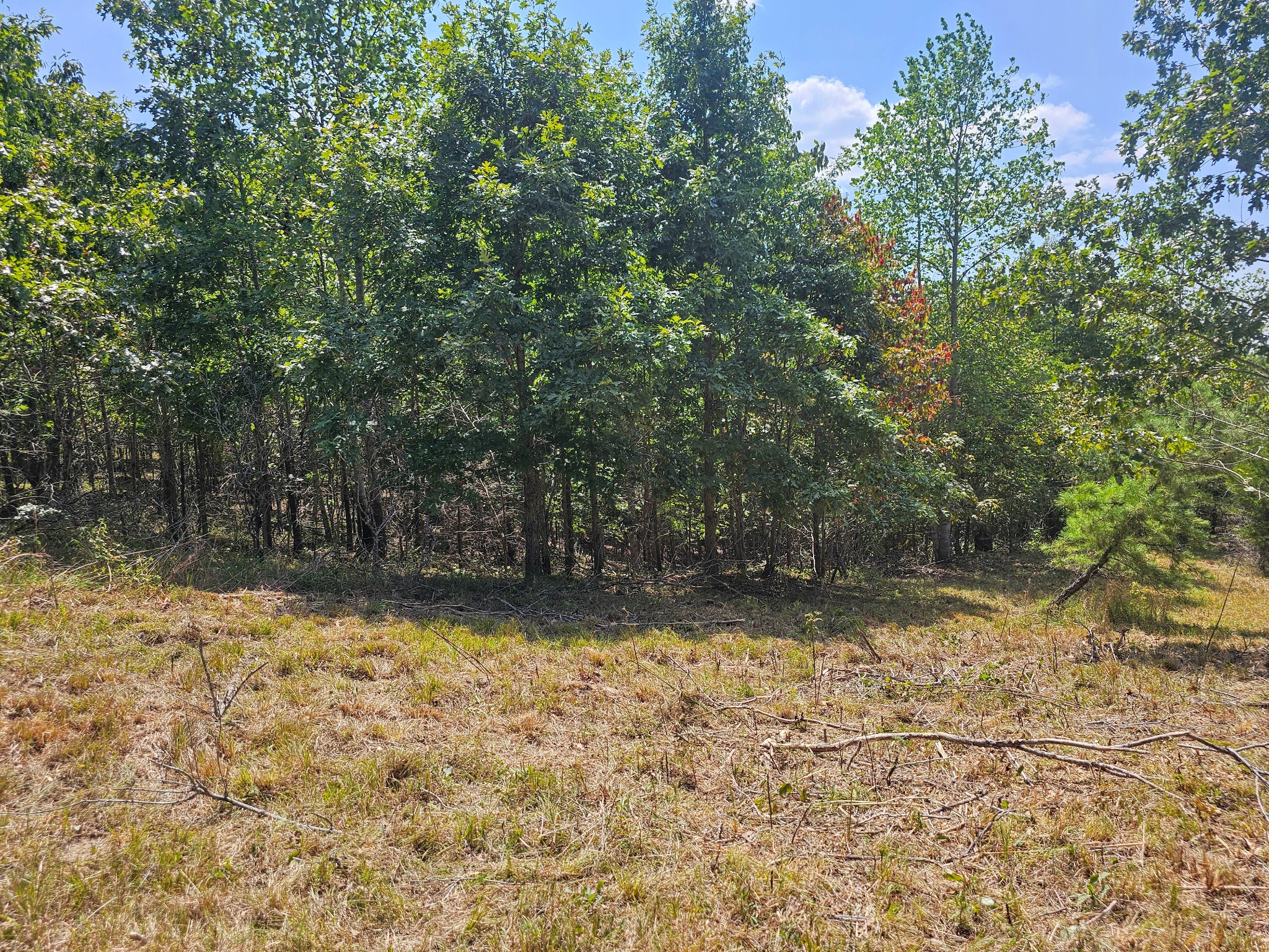 0 Ross Creek Ridge Property Photo 5