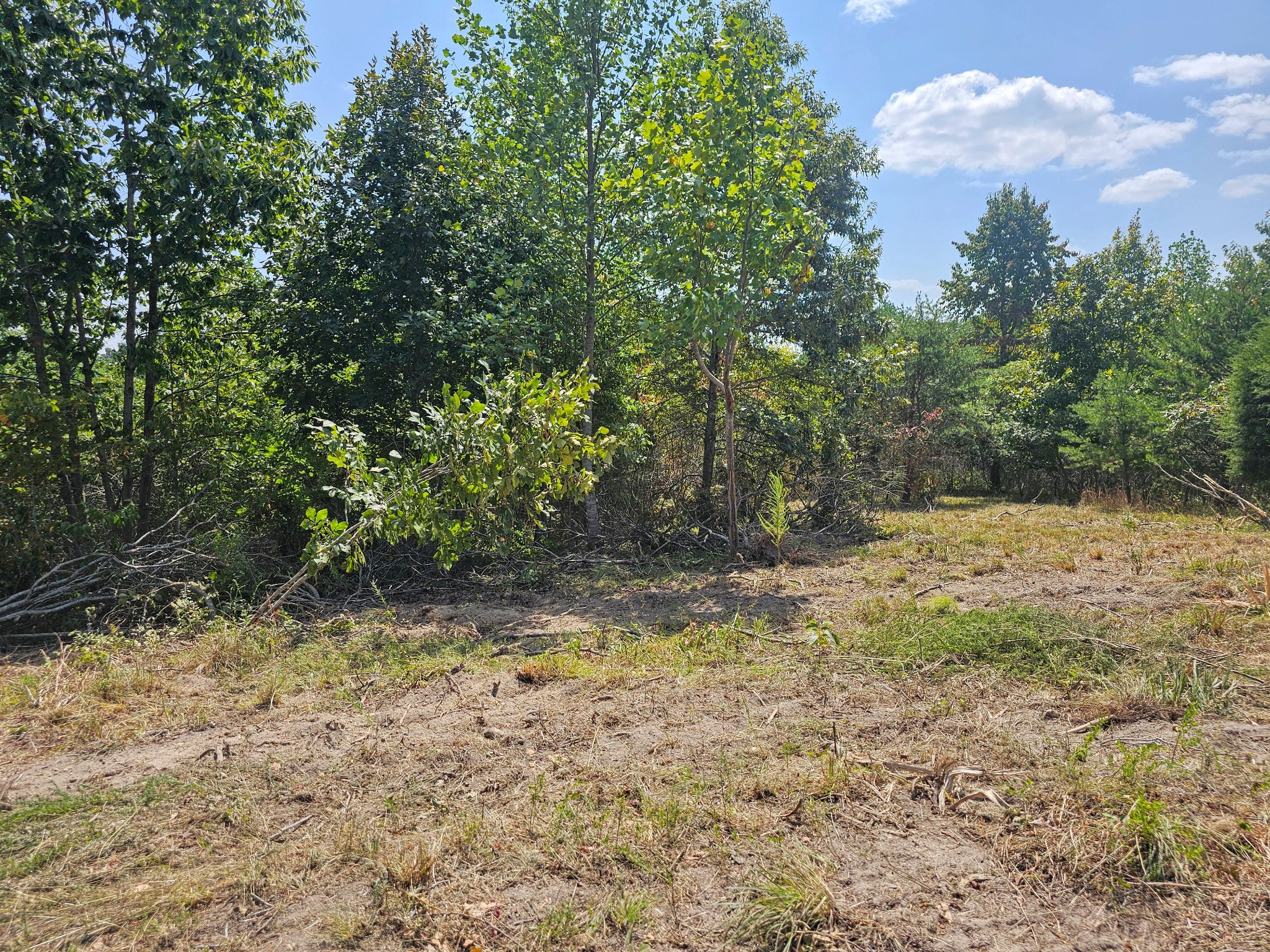 0 Ross Creek Ridge Property Photo 7