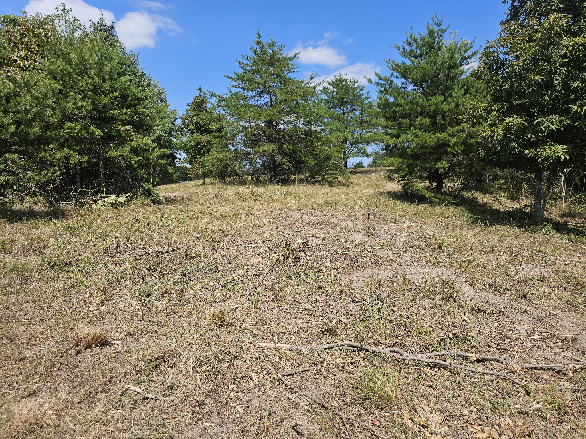 0 Ross Creek Ridge Property Photo 8