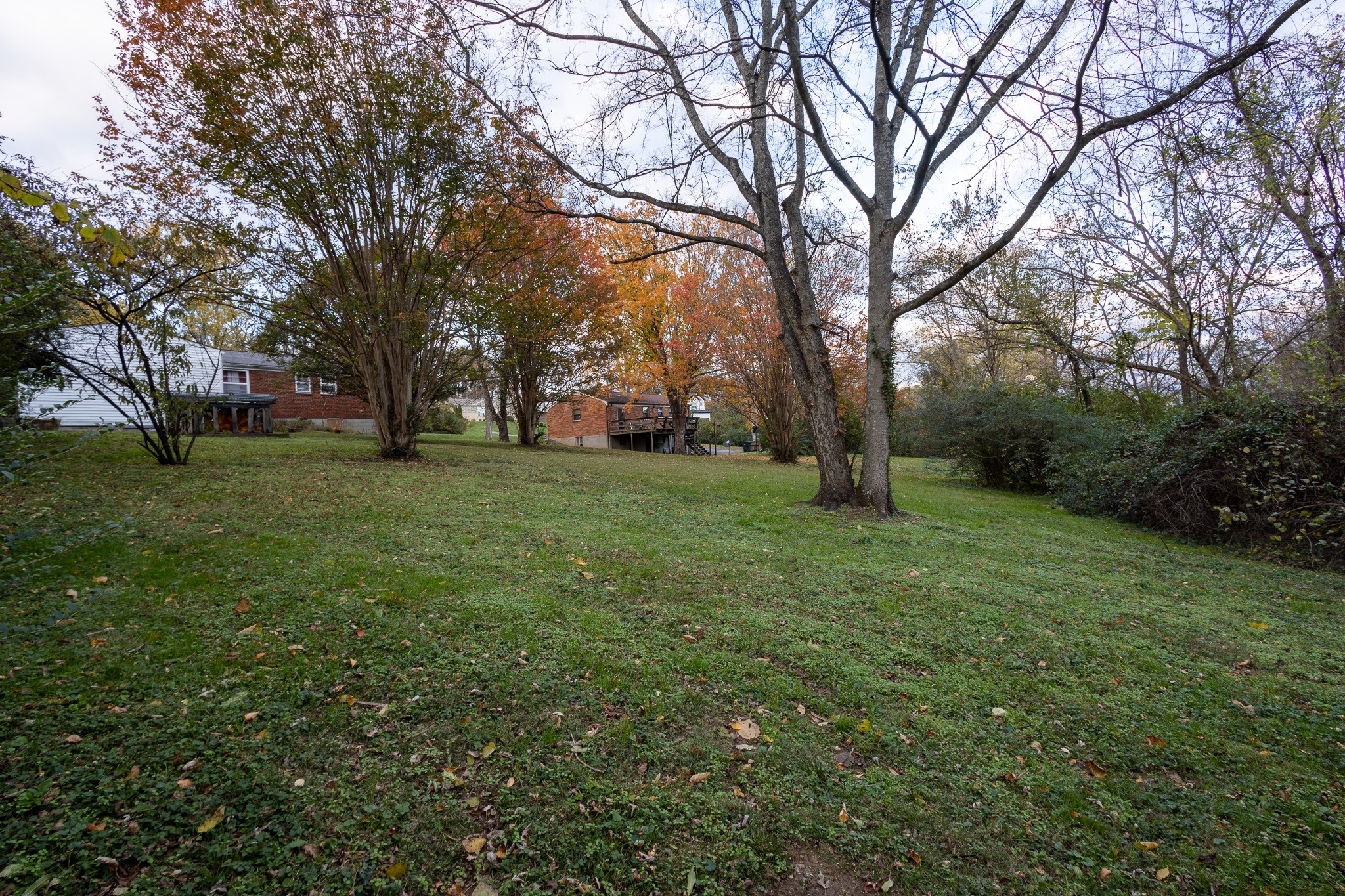 347 Dade Dr Property Photo 4