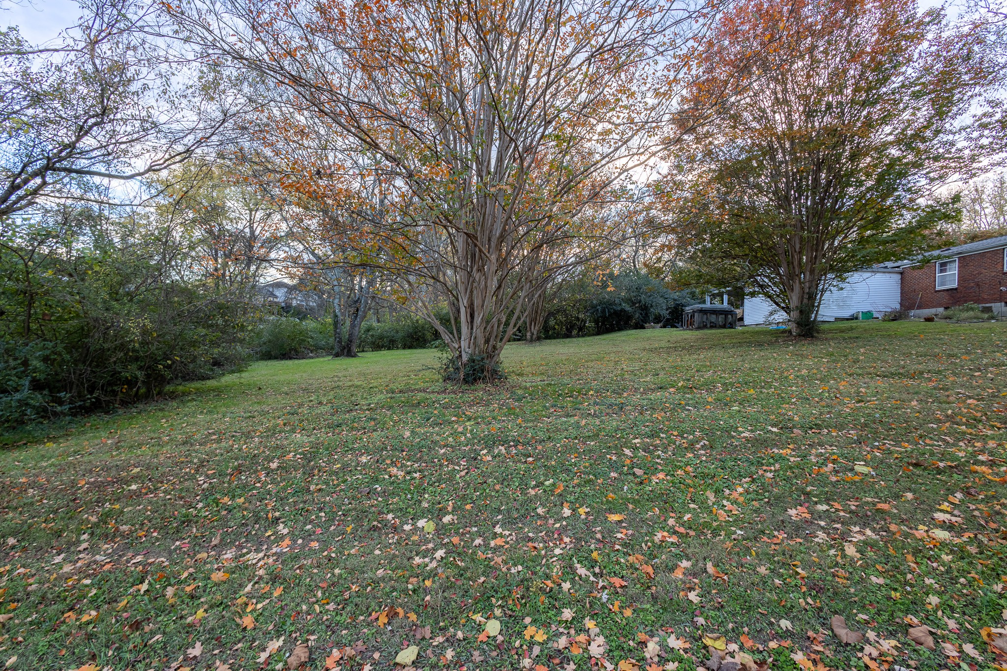 347 Dade Dr Property Photo 6