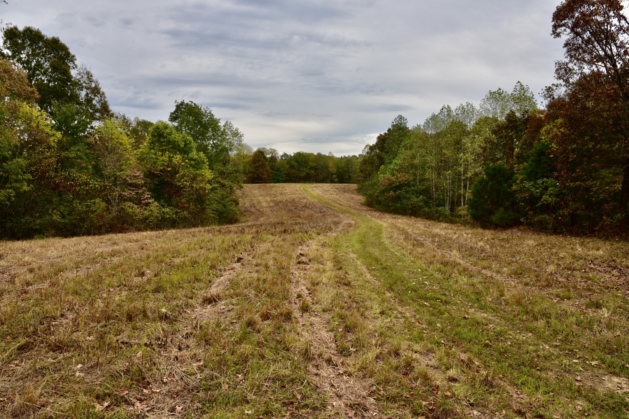 0 Bakerville Rd Property Photo 2