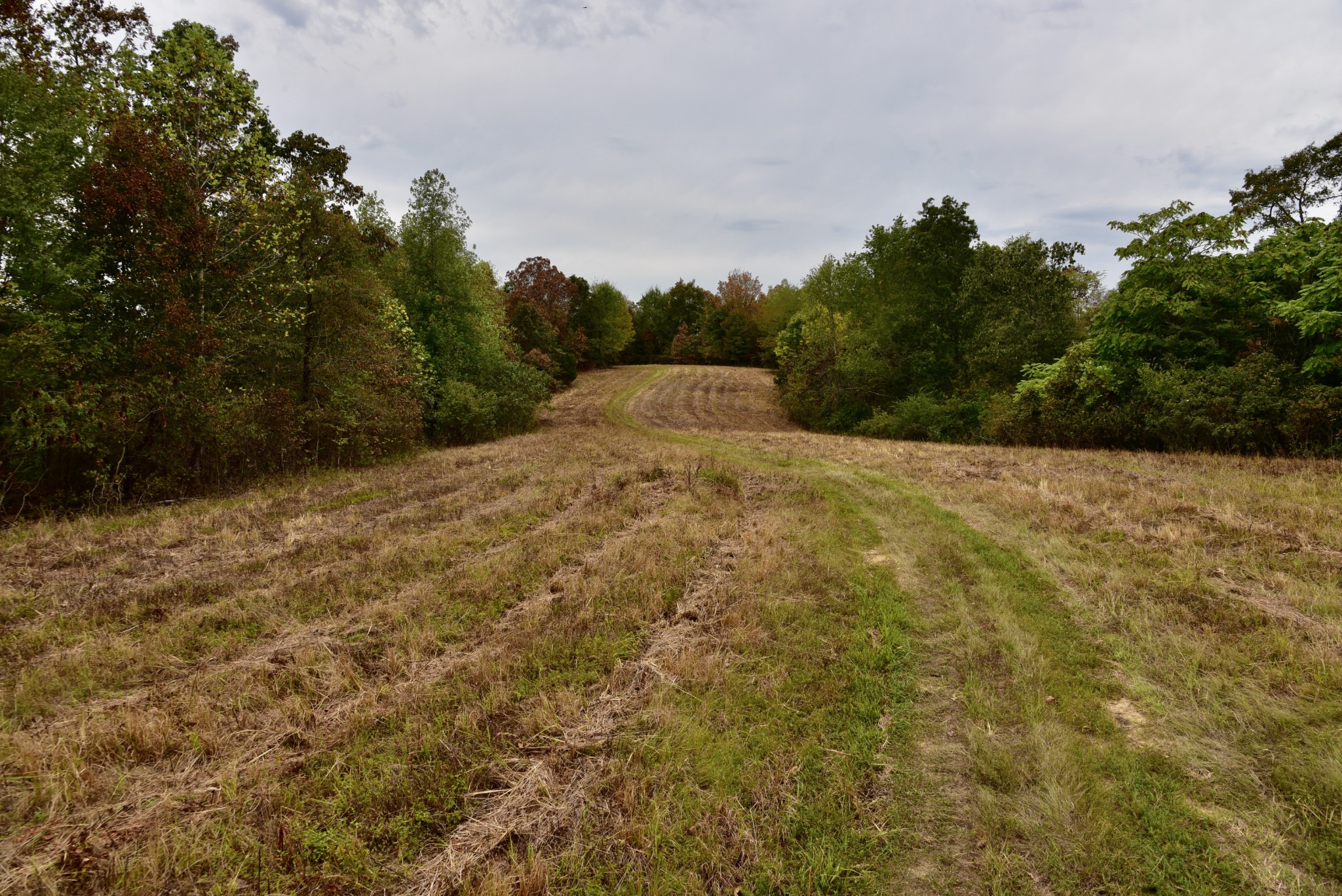 0 Bakerville Rd Property Photo 12