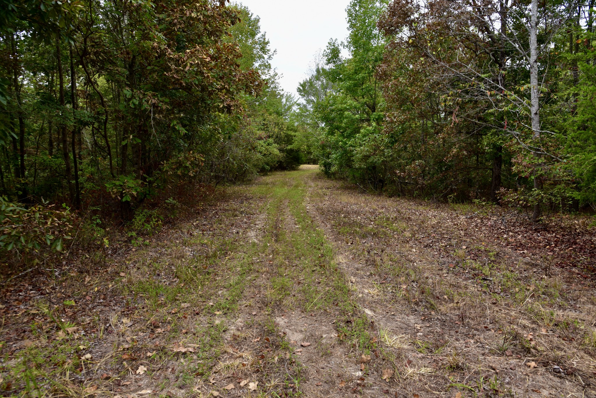 0 Bakerville Rd Property Photo 14