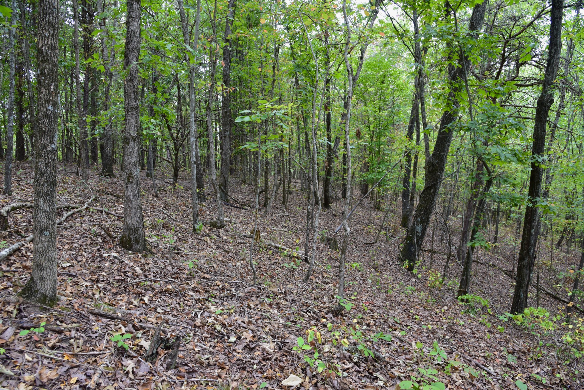 0 Bakerville Rd Property Photo 15