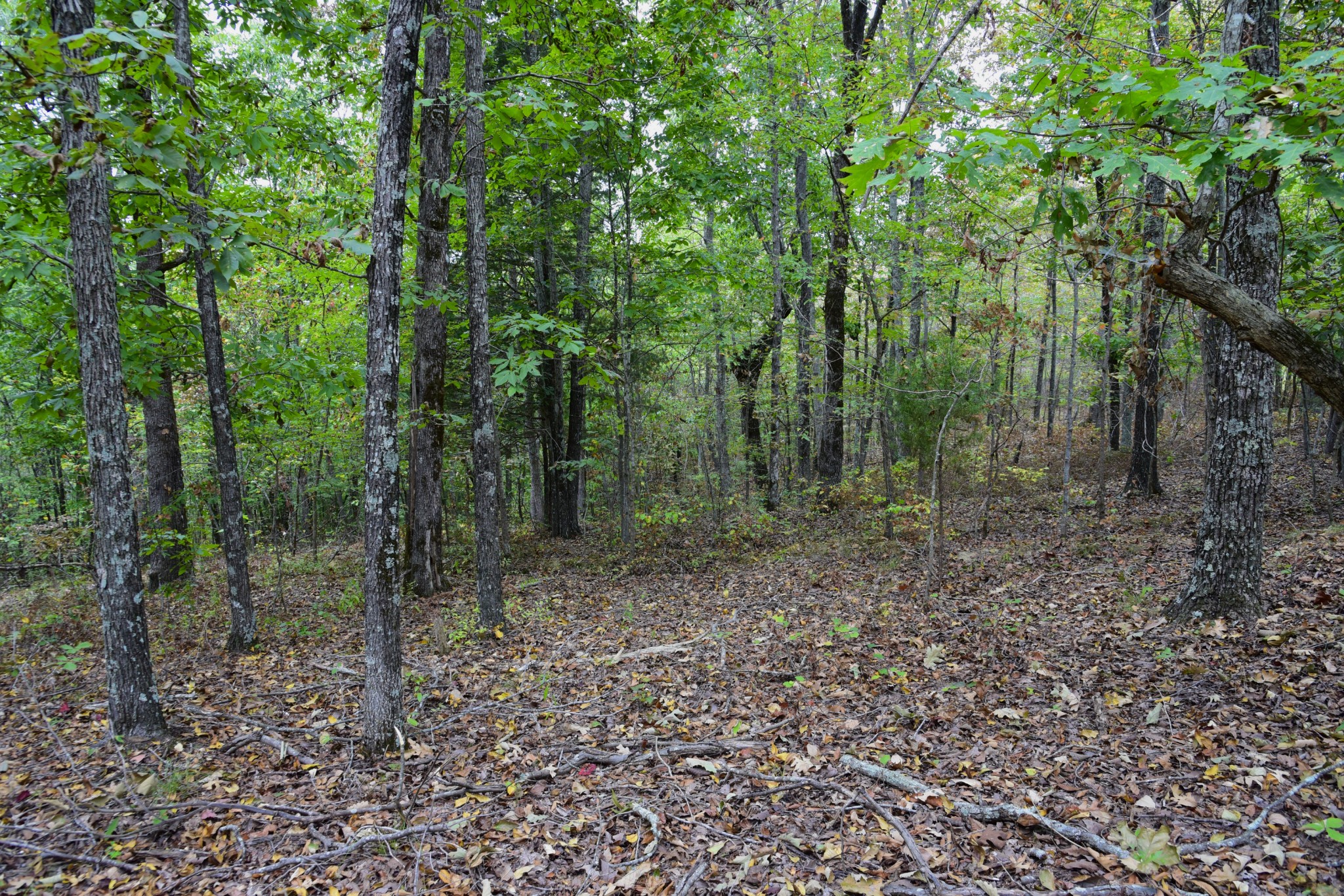 0 Bakerville Rd Property Photo 16