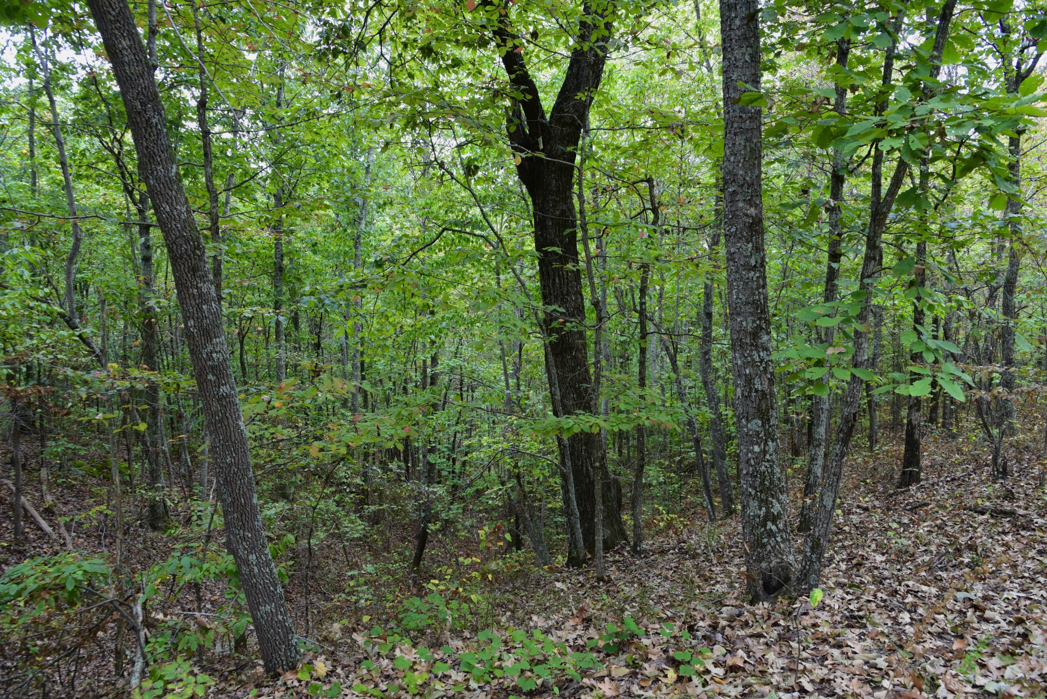 0 Bakerville Rd Property Photo 26