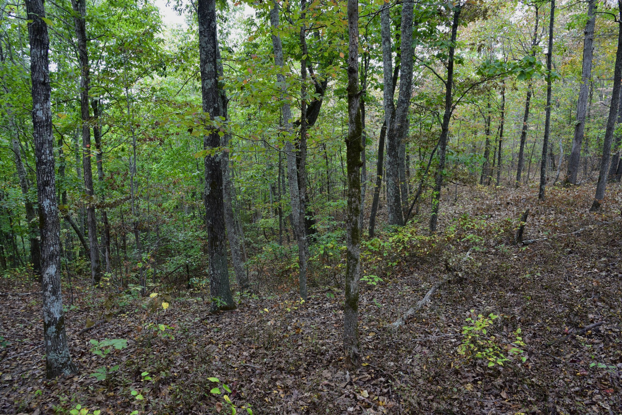 0 Bakerville Rd Property Photo 27