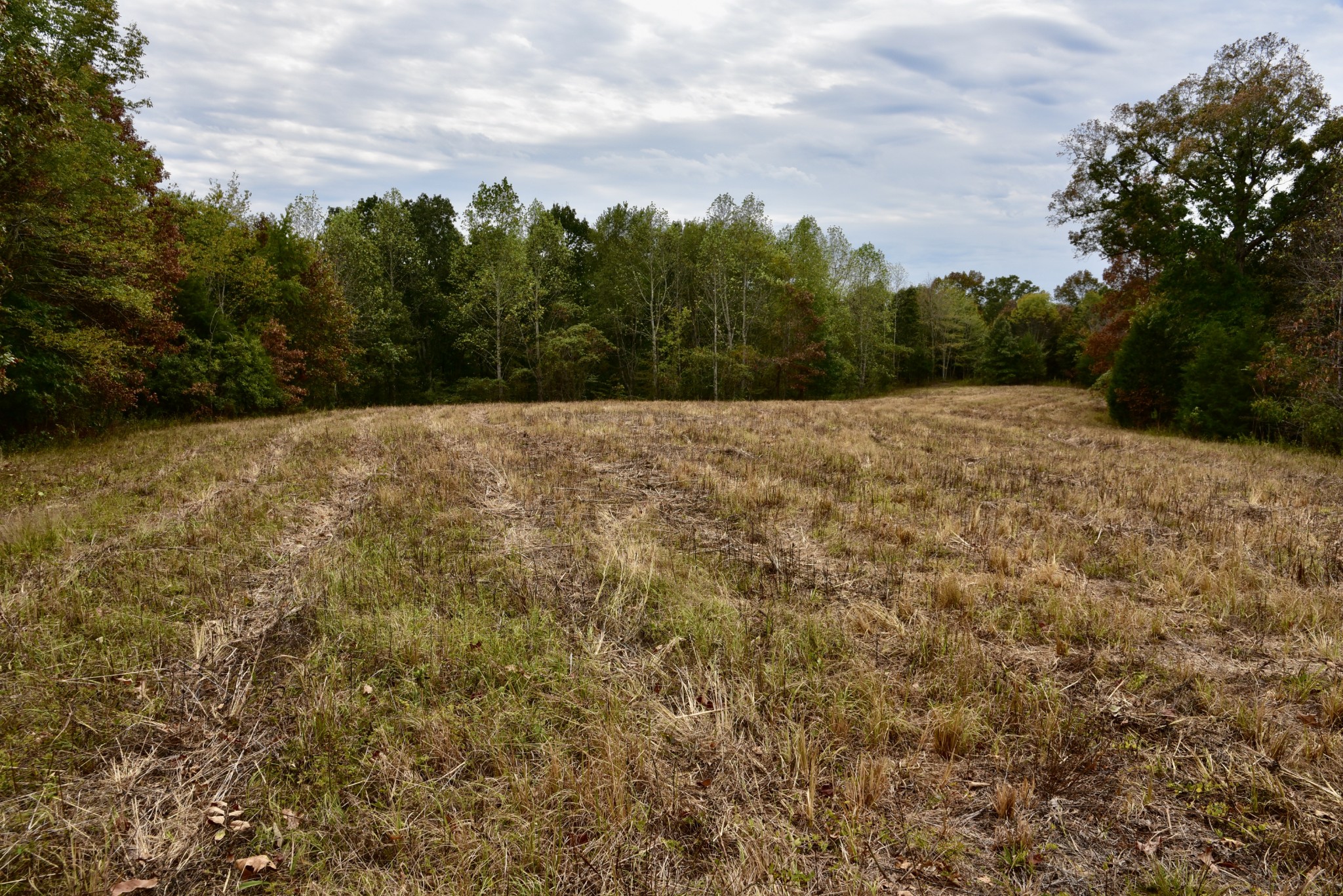 0 Bakerville Rd Property Photo 34