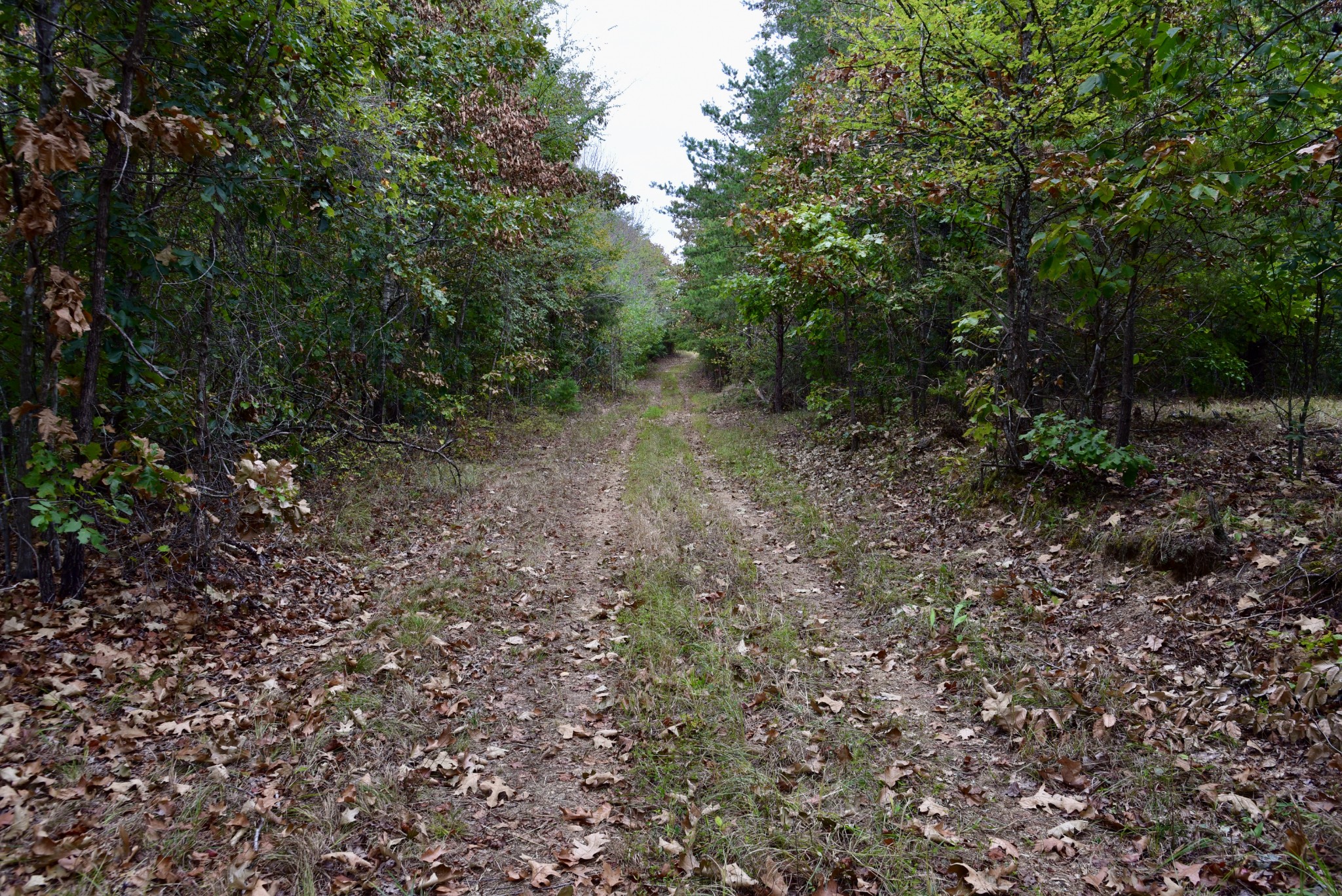 0 Bakerville Rd Property Photo 47