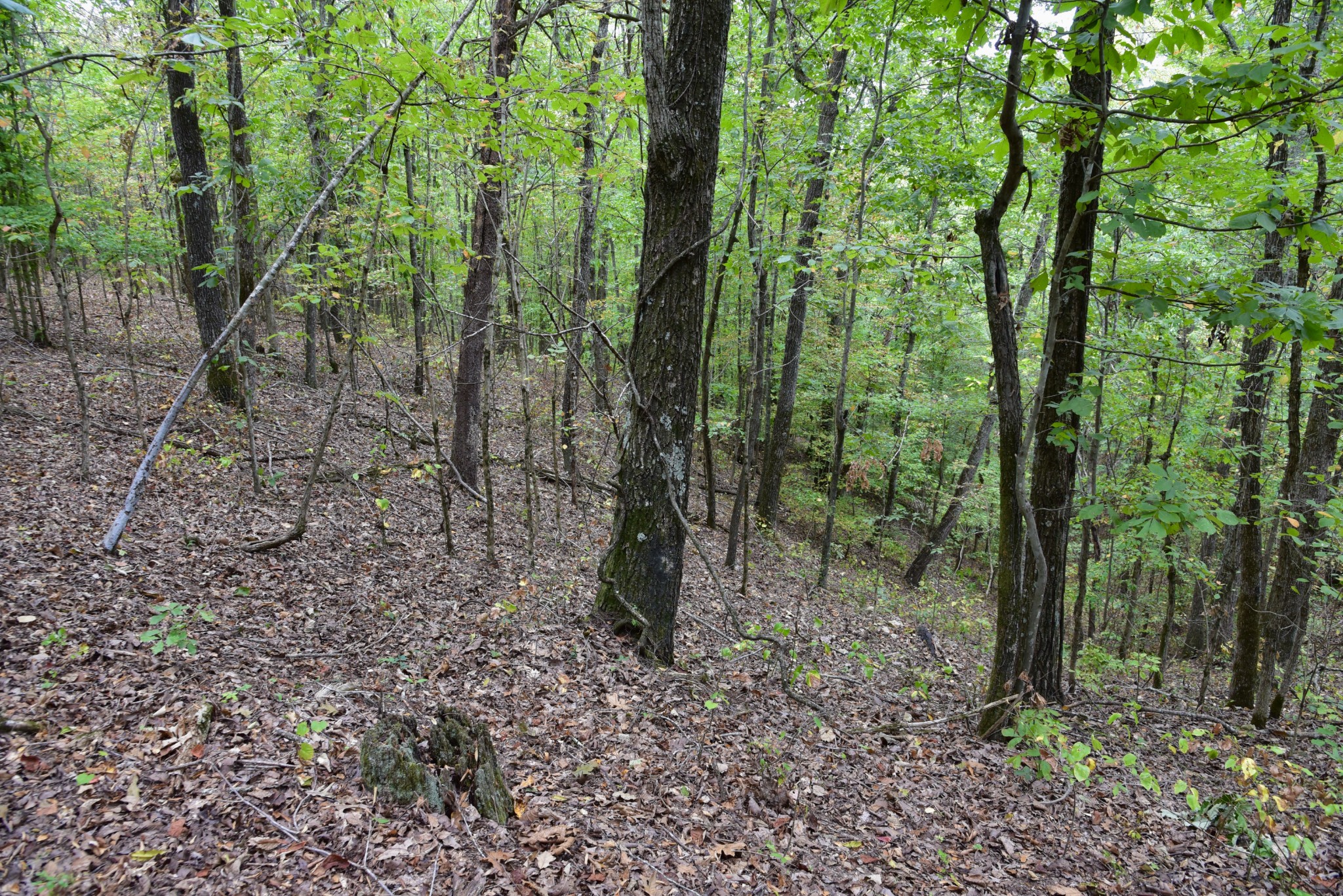 0 Bakerville Rd Property Photo 48