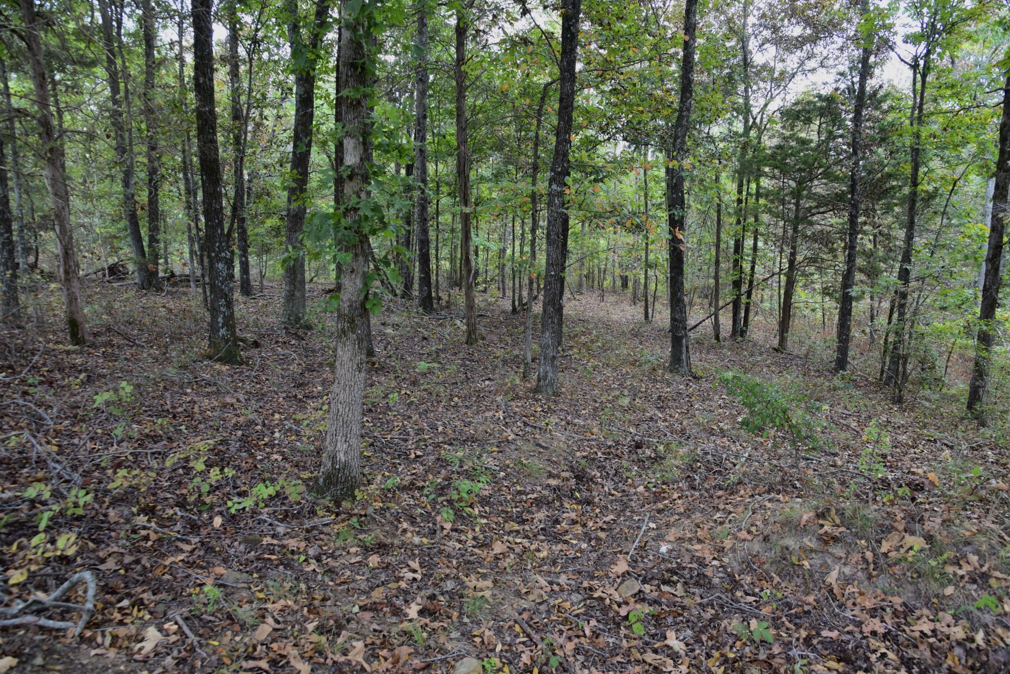 0 Bakerville Rd Property Photo 49