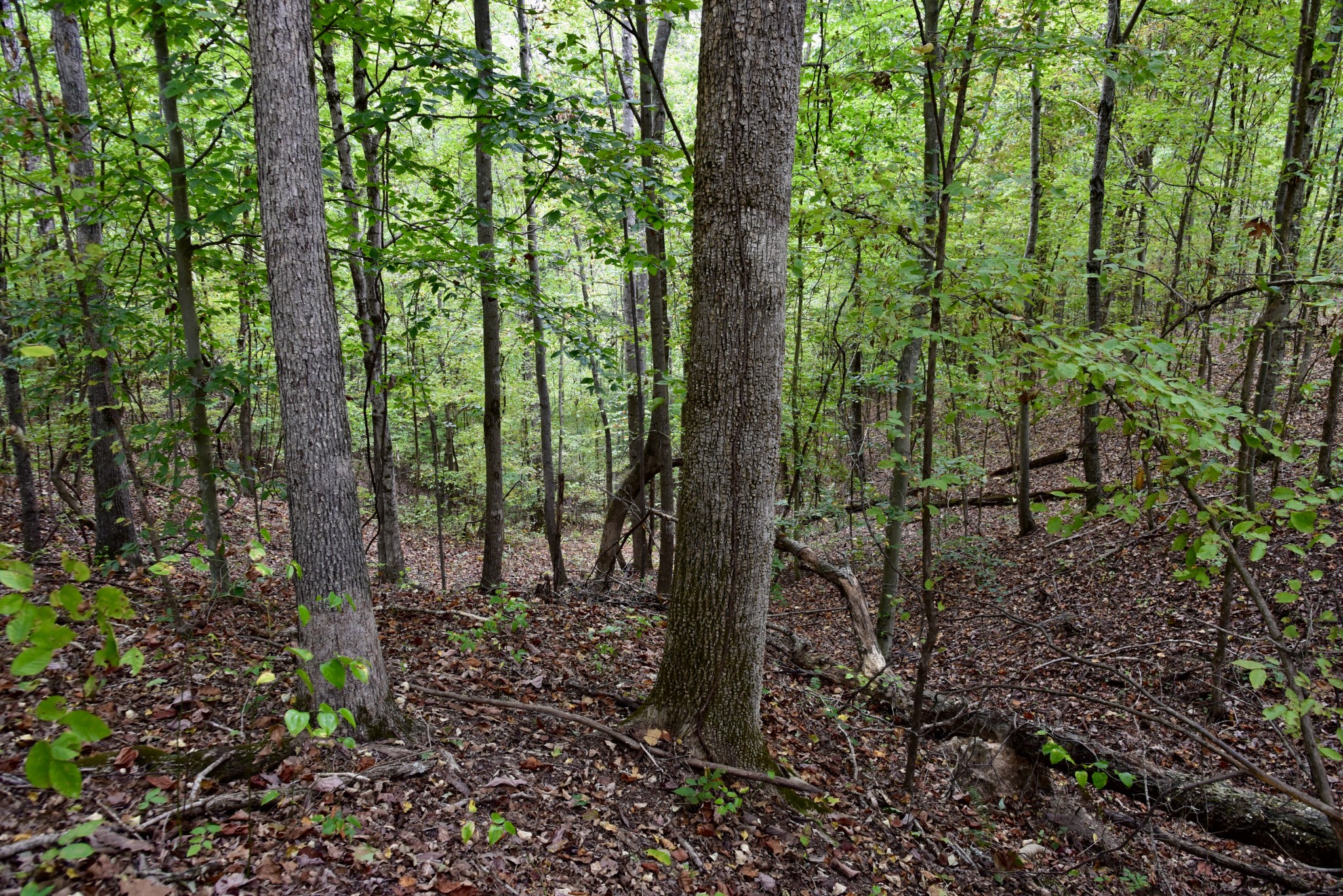 0 Bakerville Rd Property Photo 50
