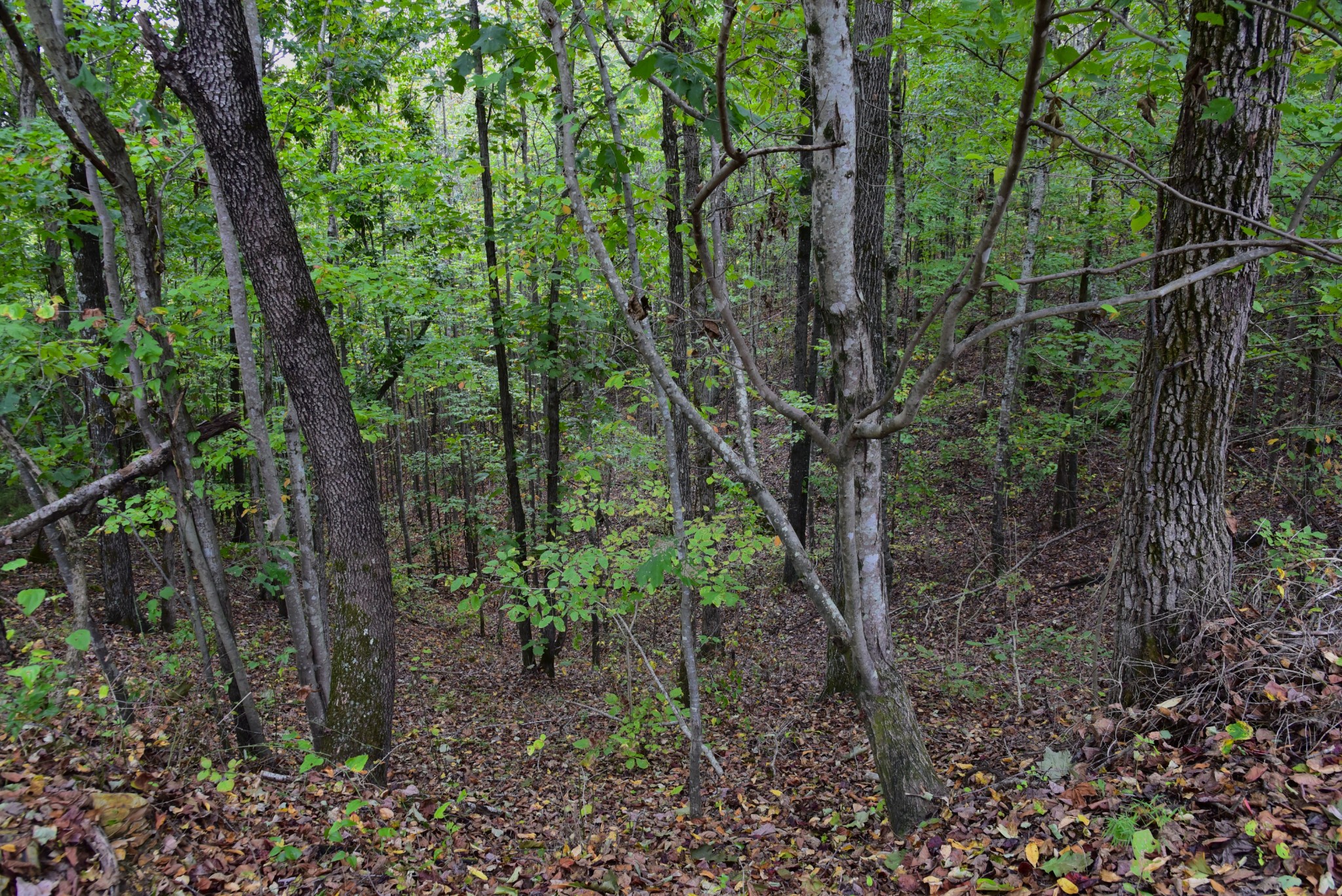0 Bakerville Rd Property Photo 51