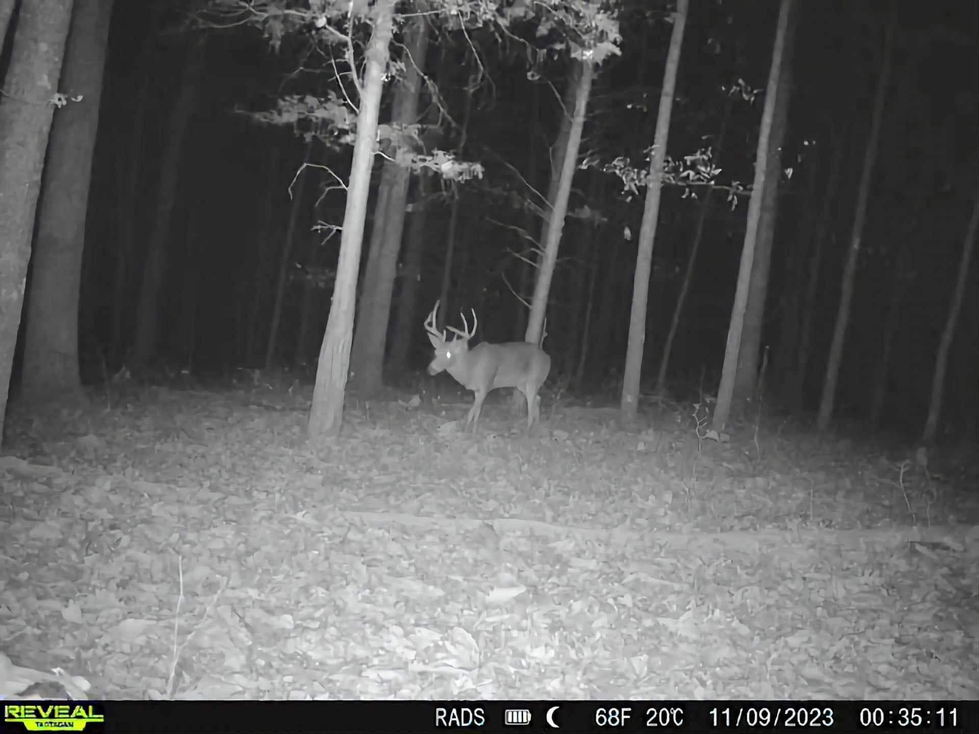 0 Bakerville Rd Property Photo 54