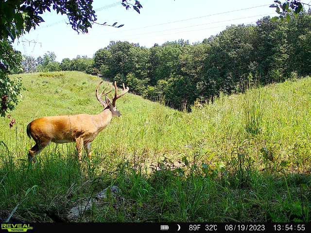 0 Bakerville Rd Property Photo 56