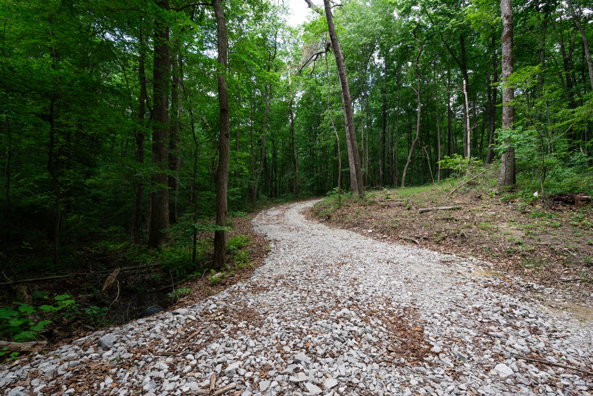 0 Laurel Lake Dr Property Photo 6