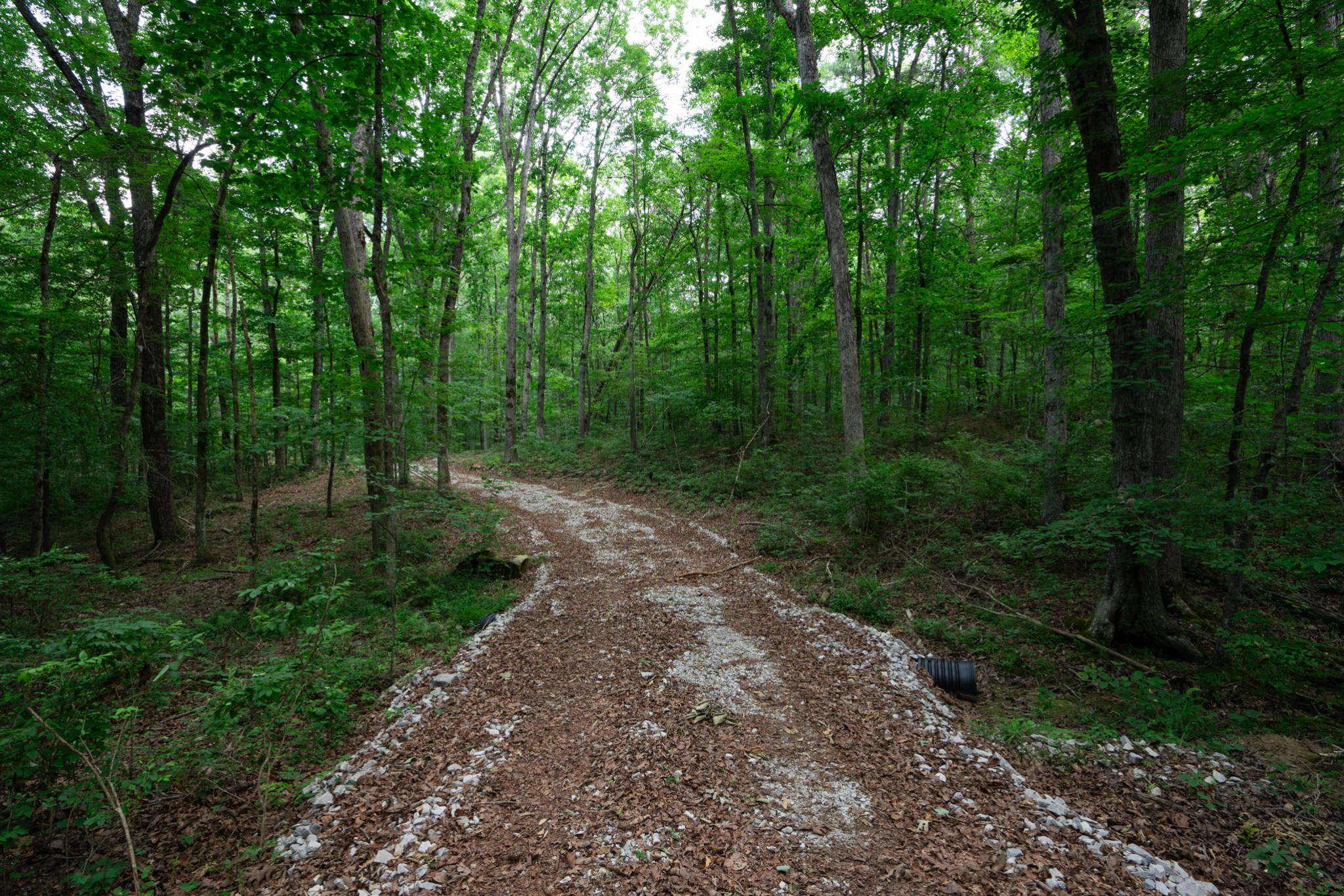 0 Laurel Lake Dr Property Photo 8