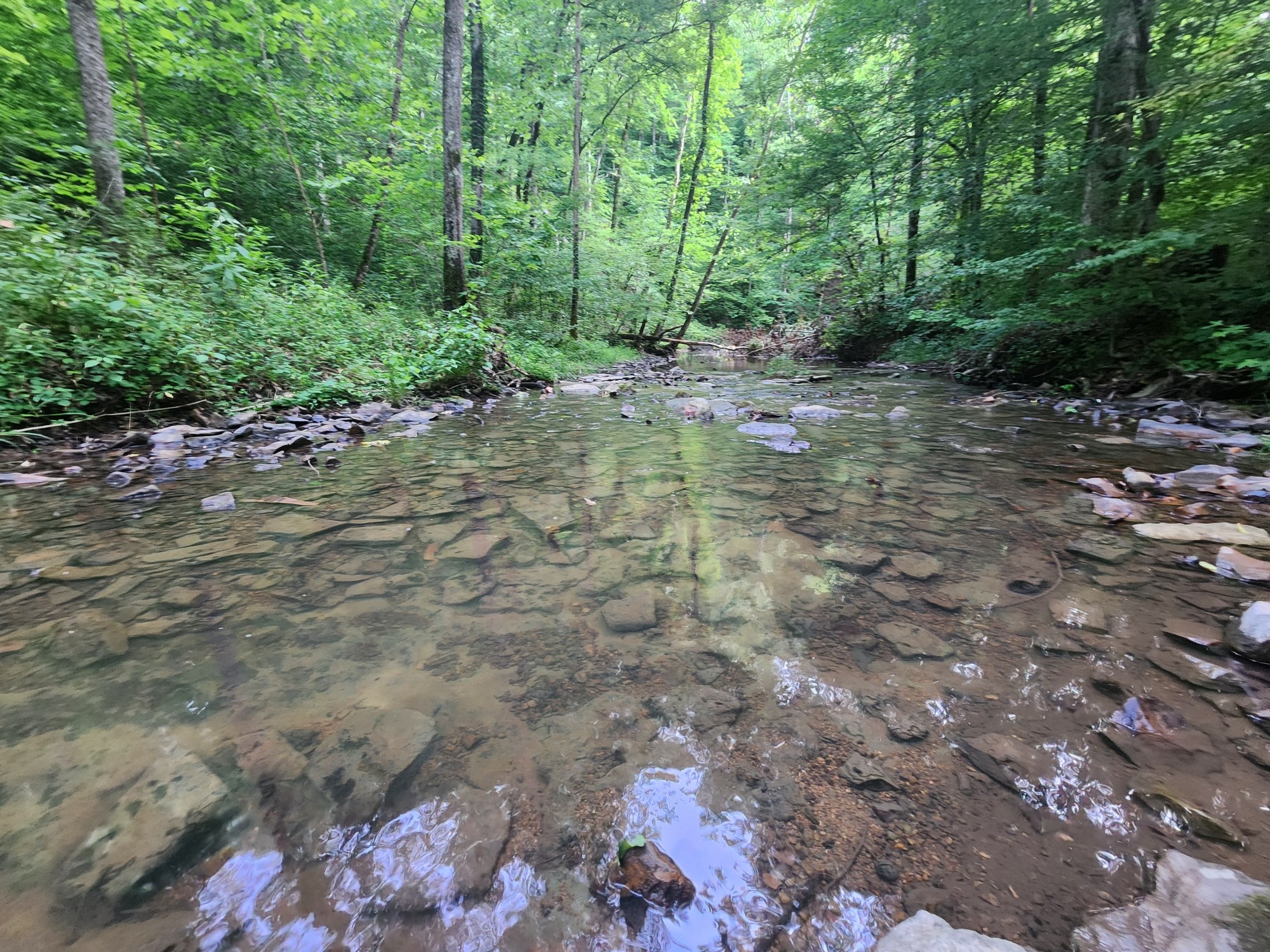 0 Blowing Springs Rd Property Photo 3