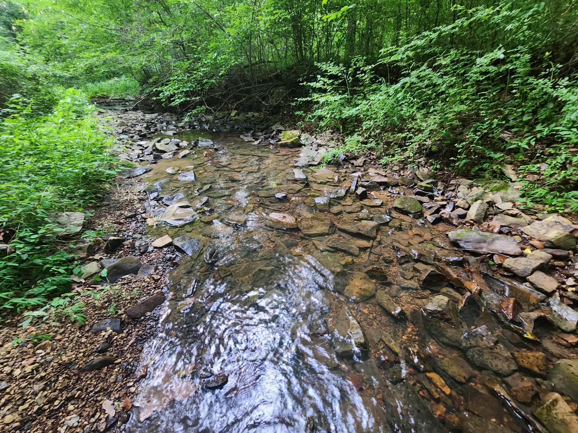 0 Blowing Springs Rd Property Photo 11