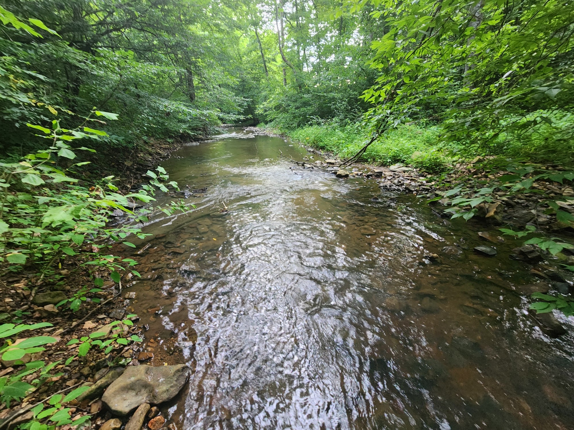 0 Blowing Springs Rd Property Photo 12