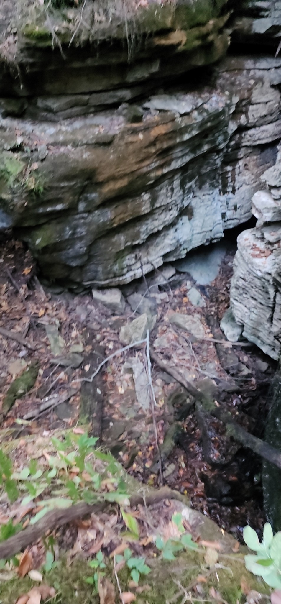 0 Blowing Springs Rd Property Photo 23