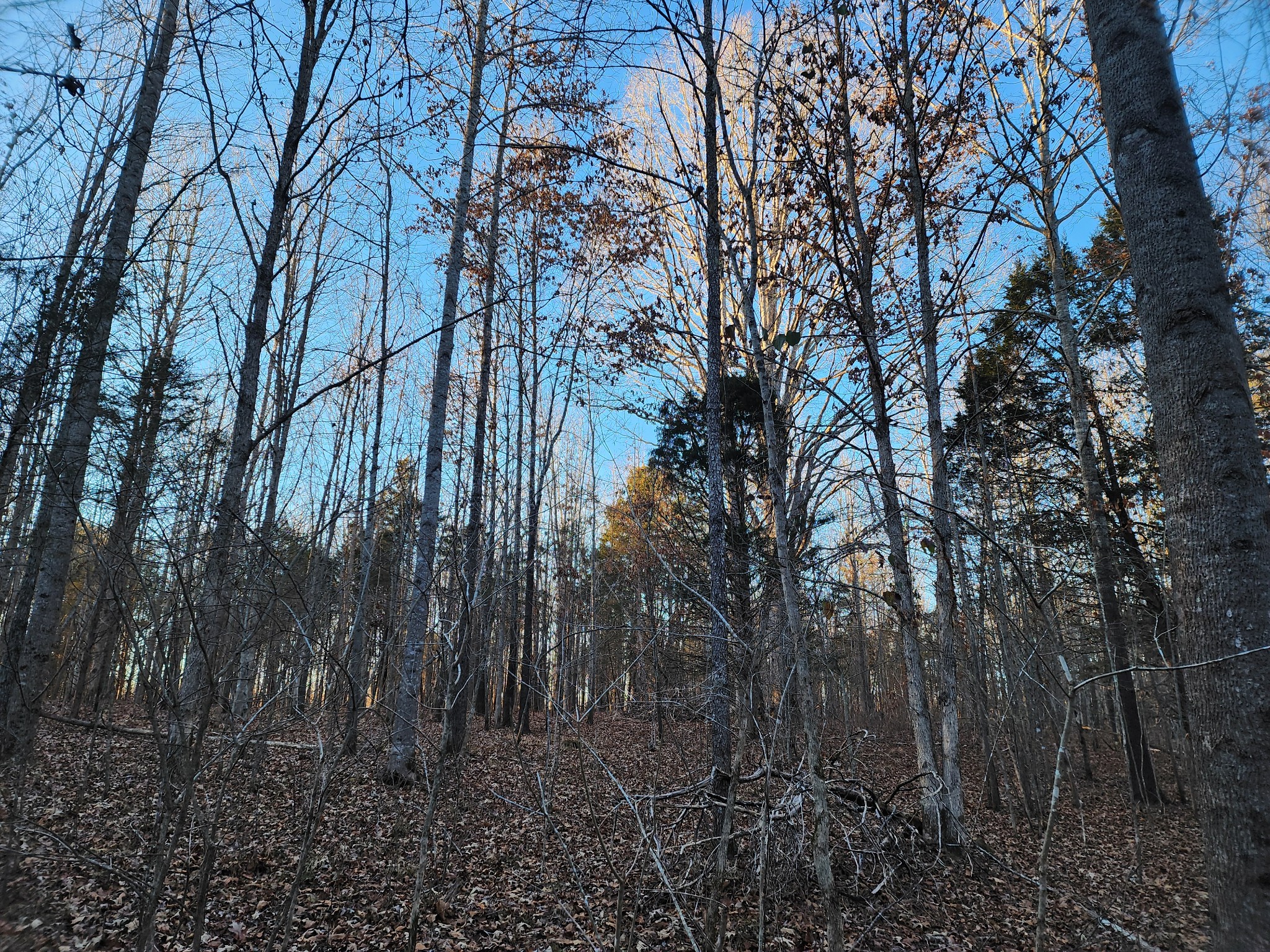 0 Blowing Springs Rd Property Photo 36