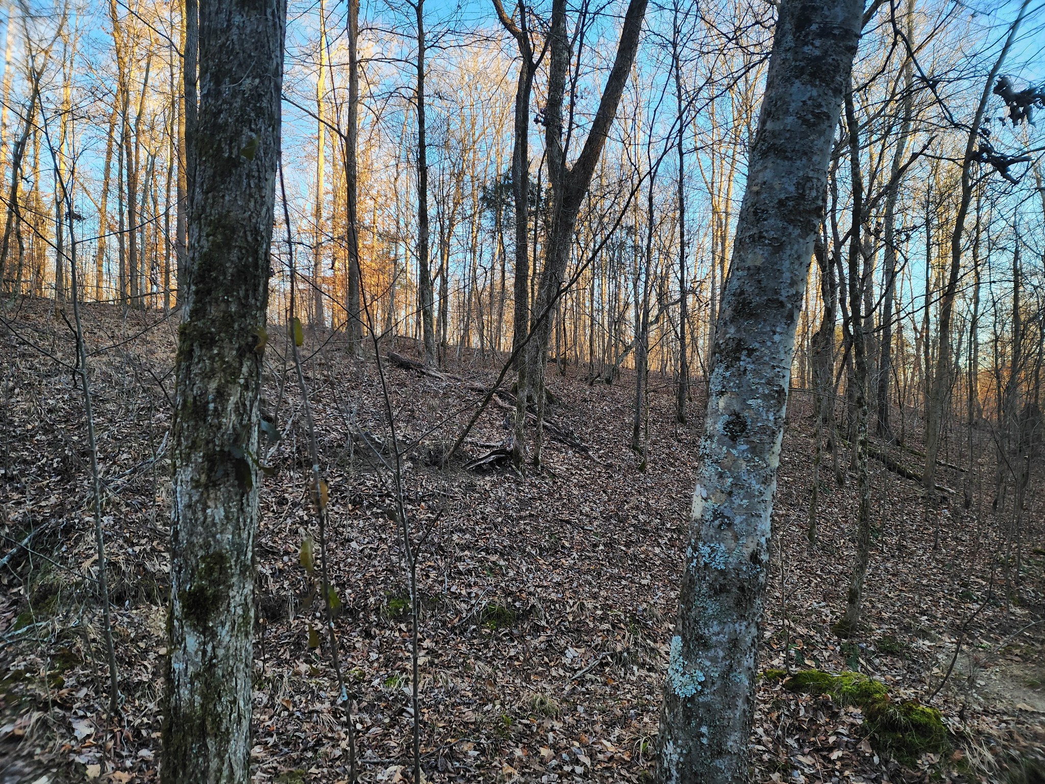 0 Blowing Springs Rd Property Photo 38