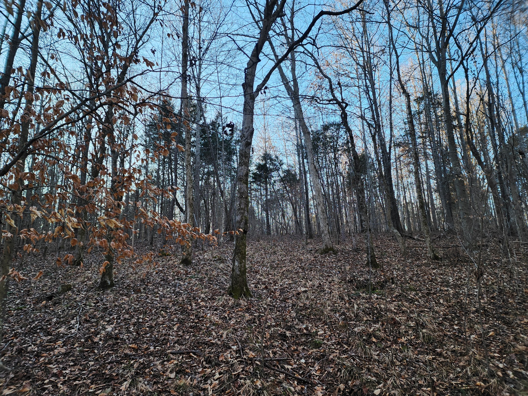 0 Blowing Springs Rd Property Photo 39