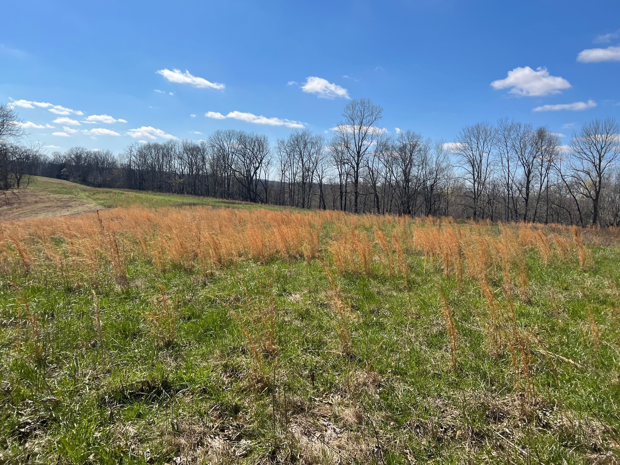 0 Weakley Creek Road Property Photo