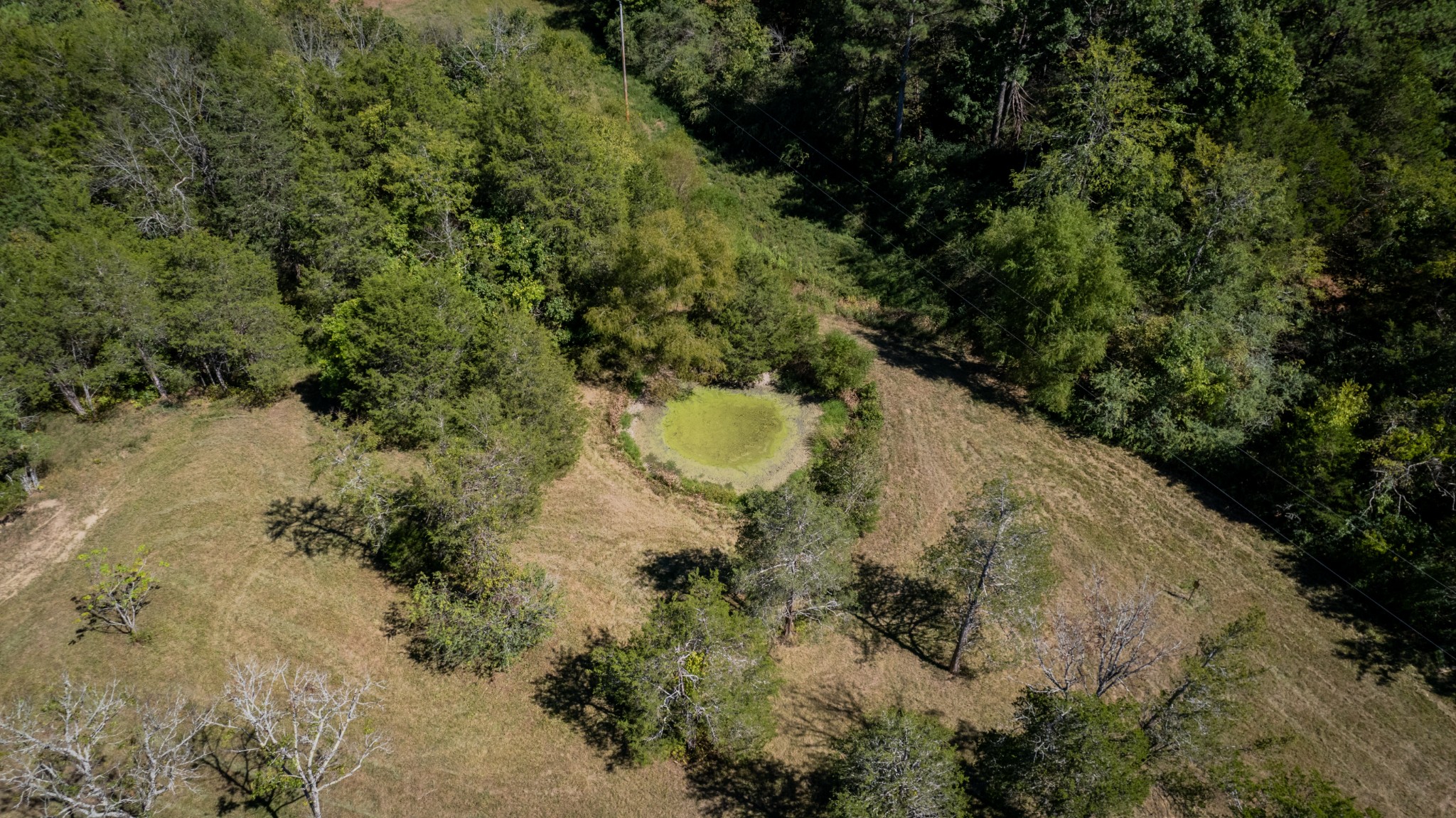 0 Elkton Pike Property Photo 3