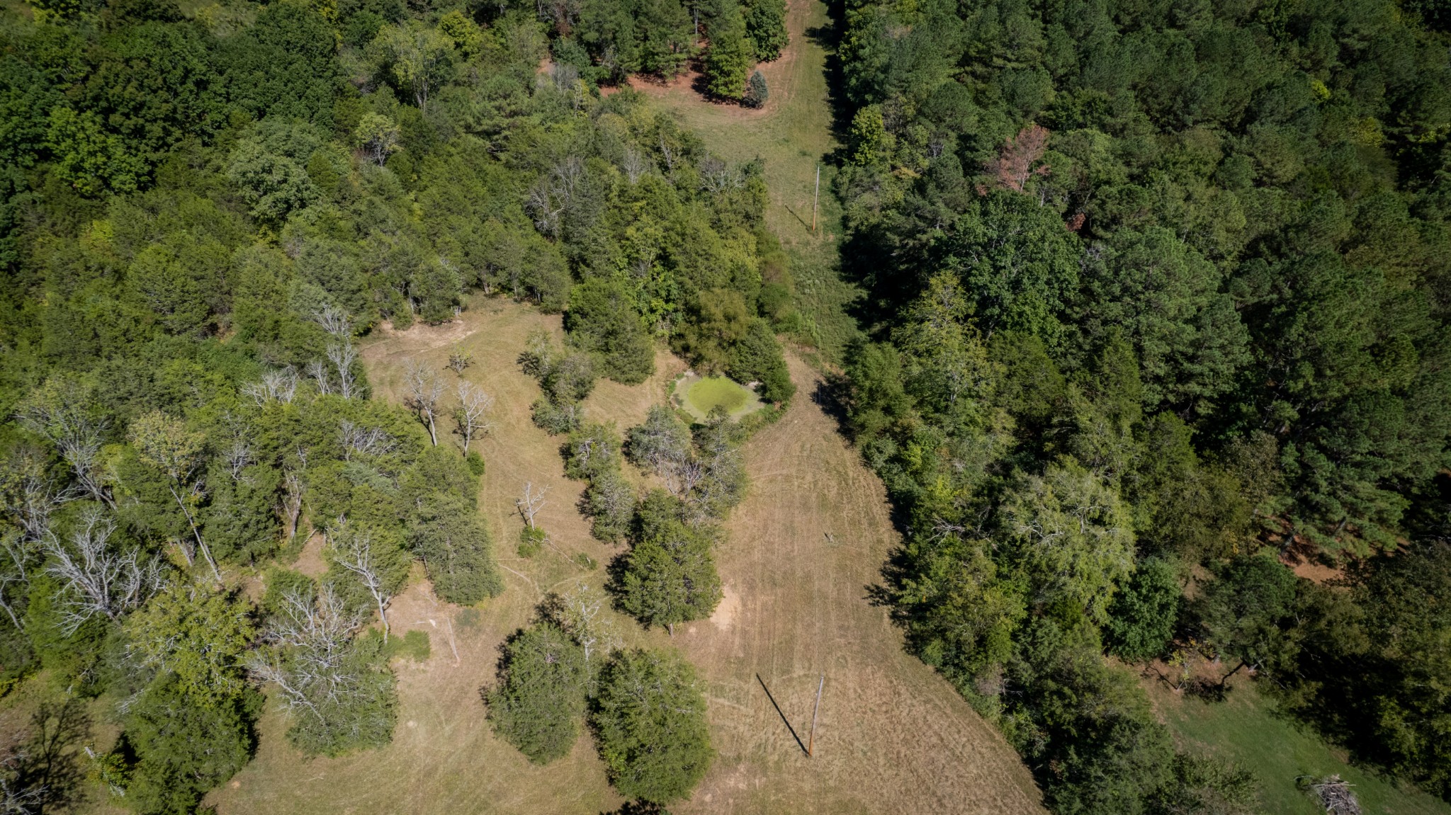 0 Elkton Pike Property Photo 4