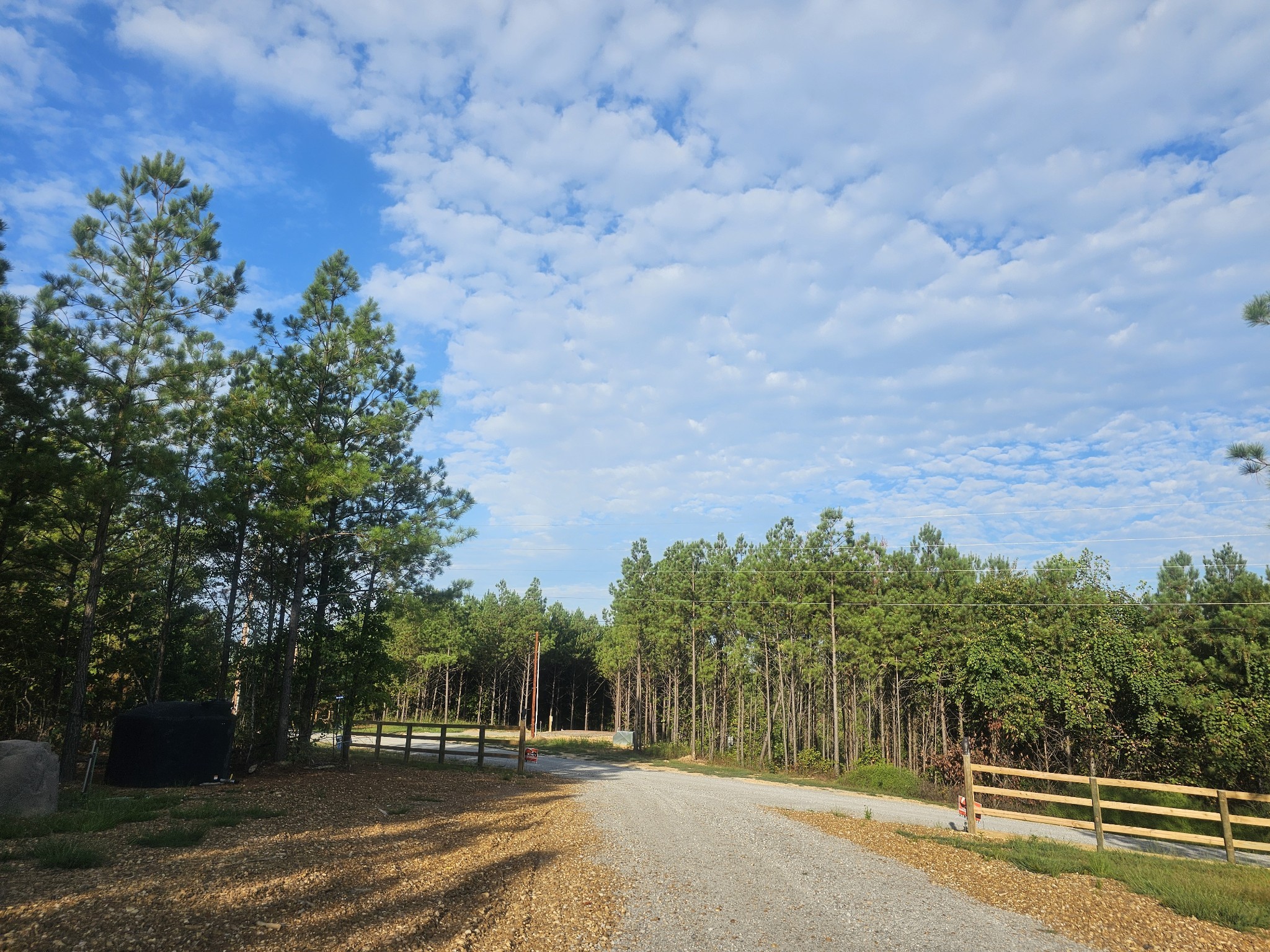 6691 Old Hohenwald Rd Property Photo 3
