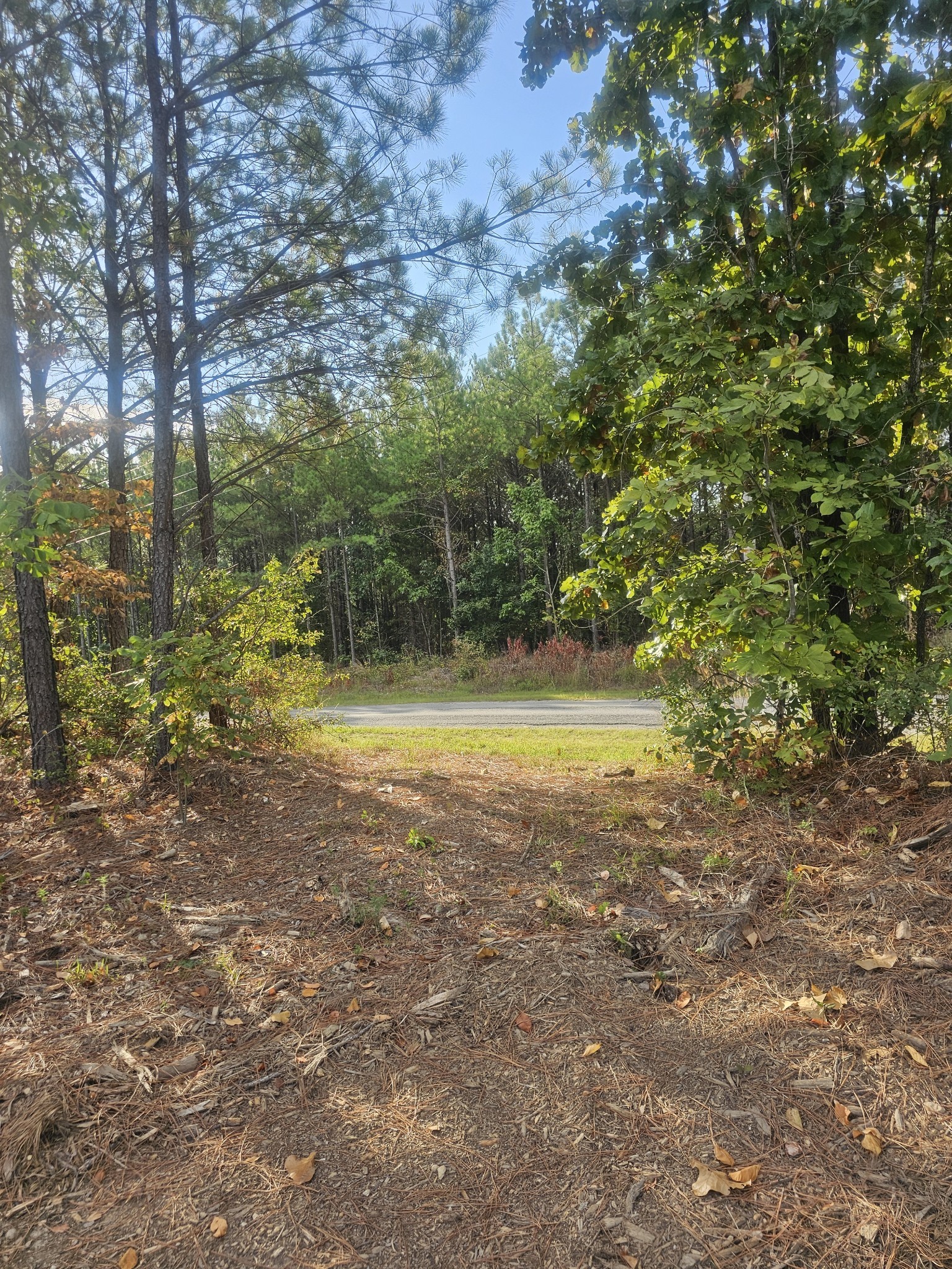 6691 Old Hohenwald Rd Property Photo 4