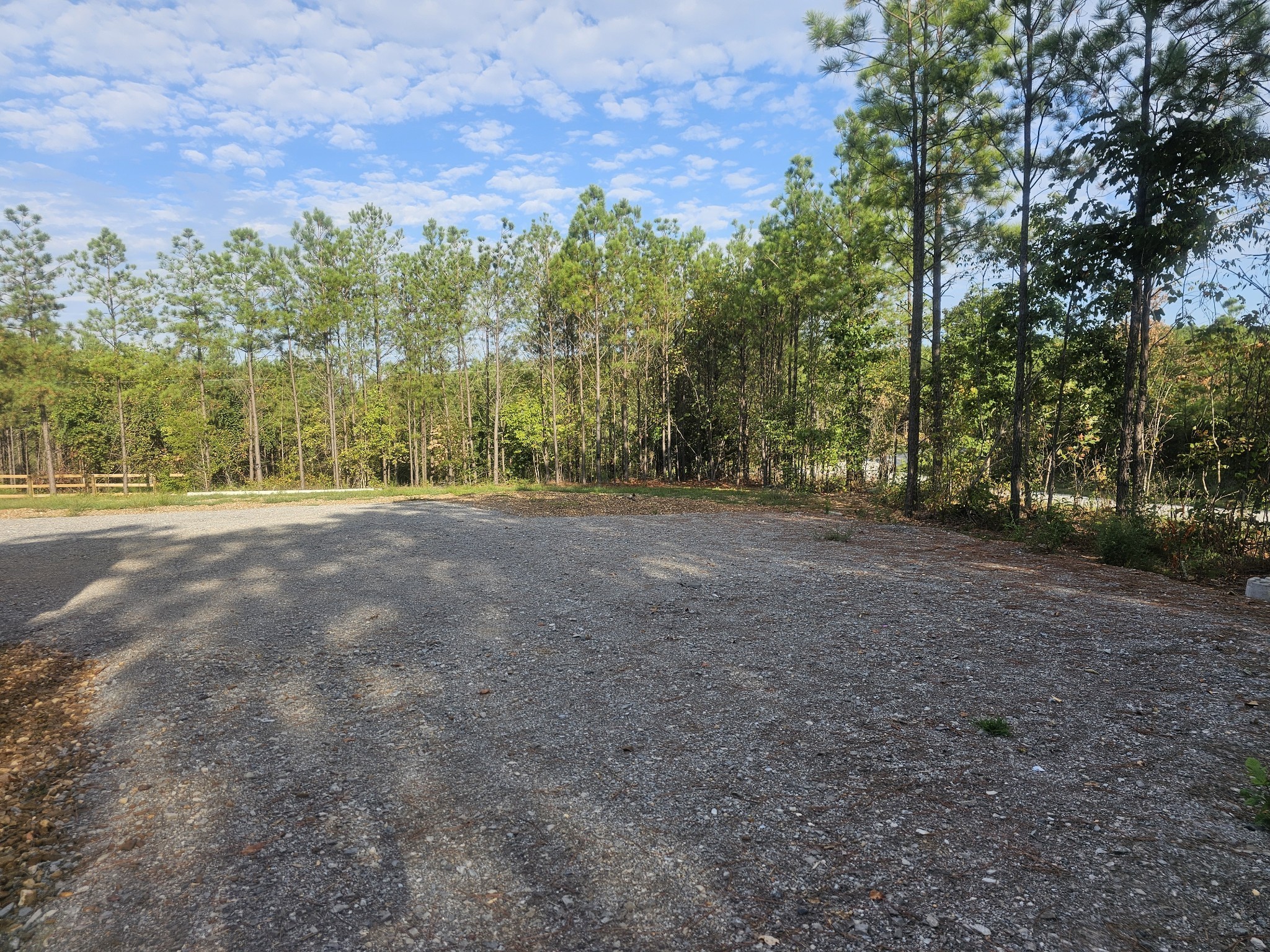 6691 Old Hohenwald Rd Property Photo 6