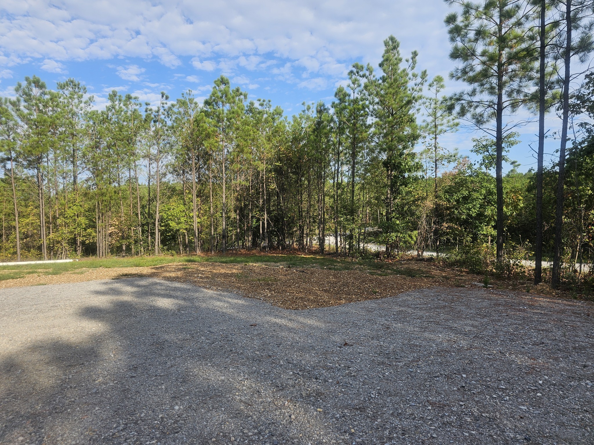 6691 Old Hohenwald Rd Property Photo 10