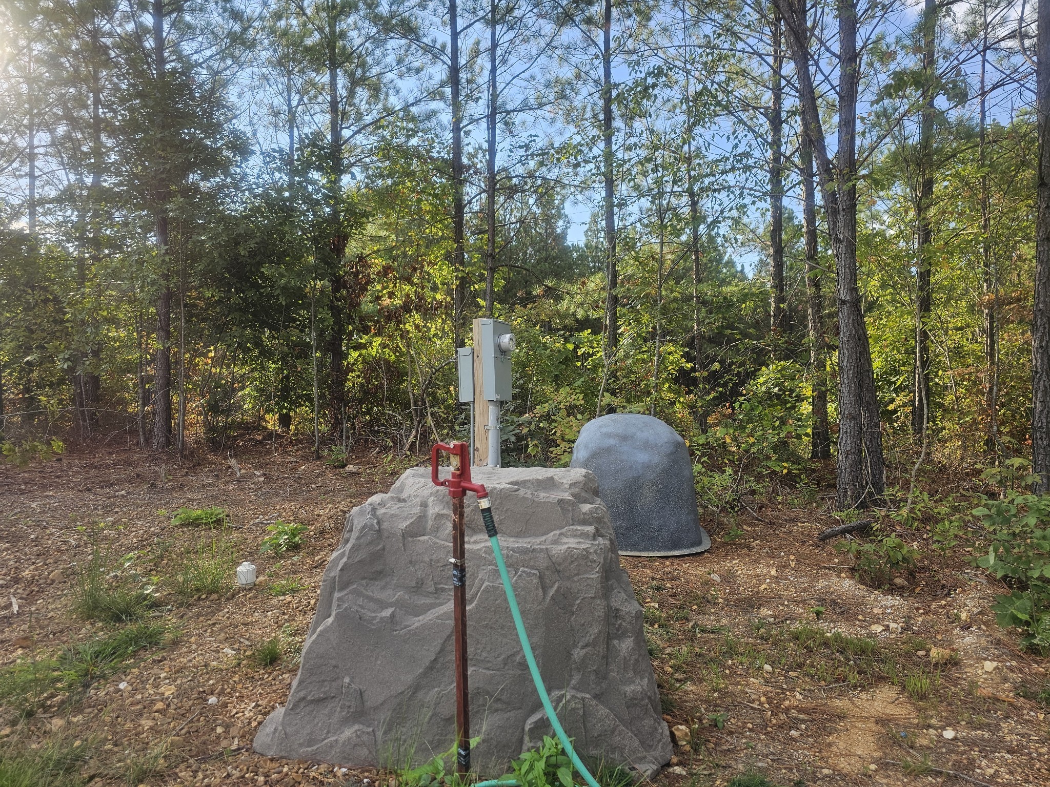 6691 Old Hohenwald Rd Property Photo 13