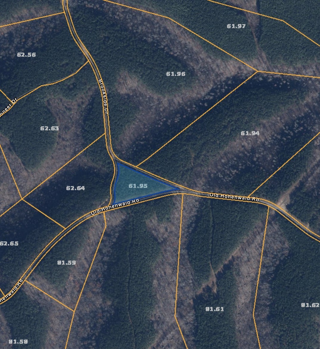 6691 Old Hohenwald Rd Property Photo 20