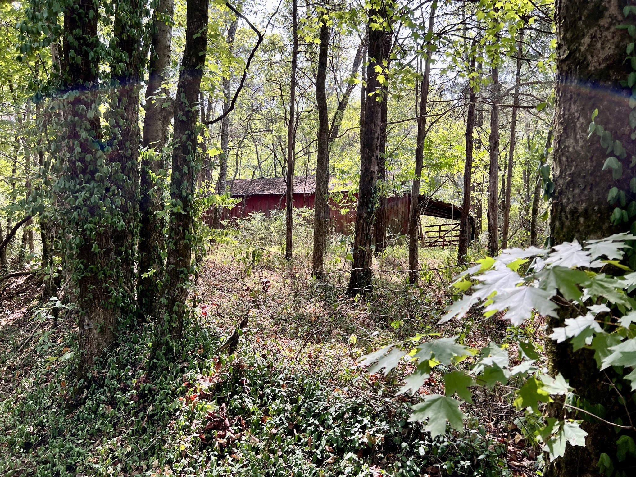 6 Mcburg Dellrose Rd Property Photo 8