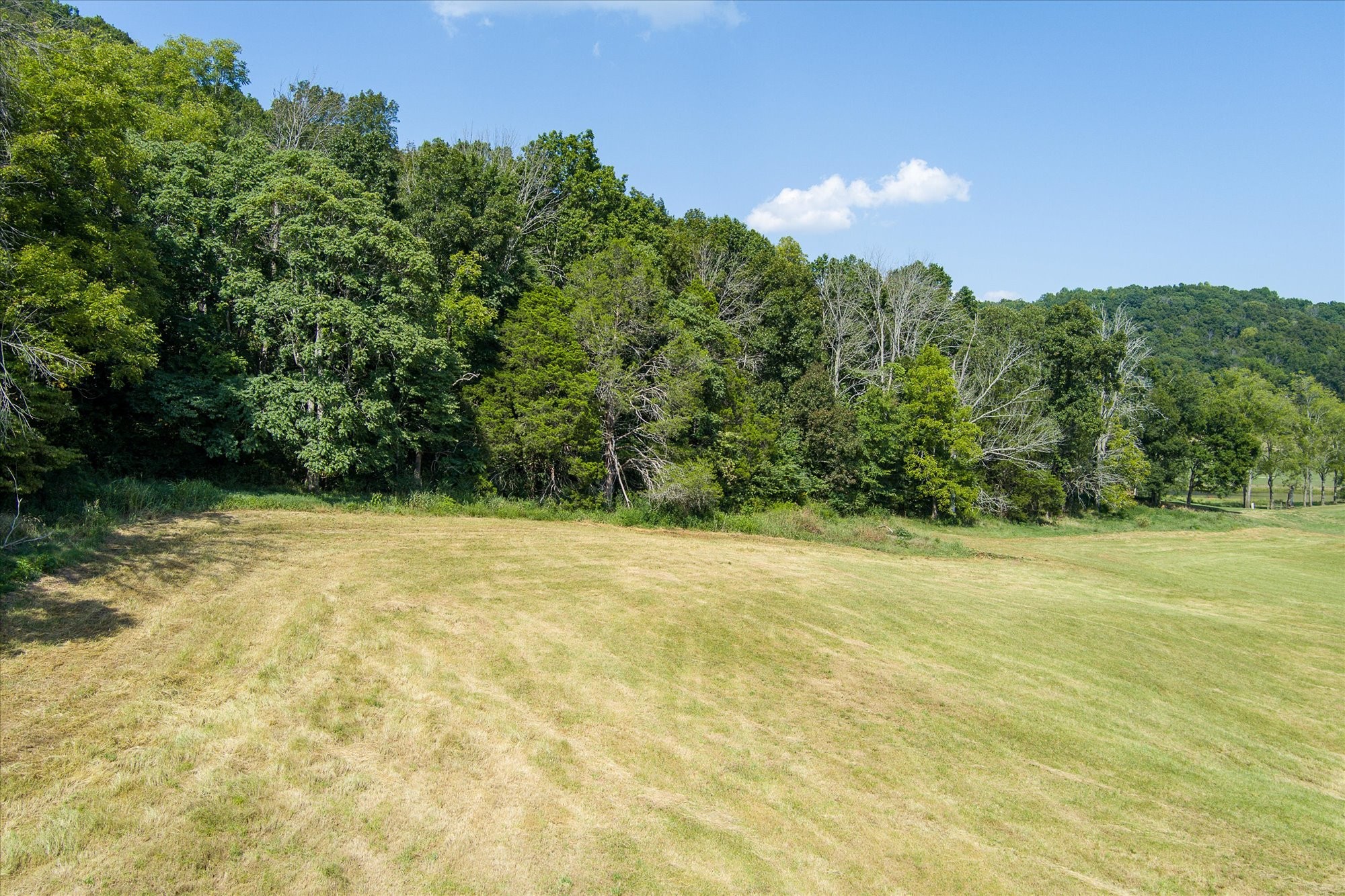 0 Jim Hennessee Road Property Photo 5