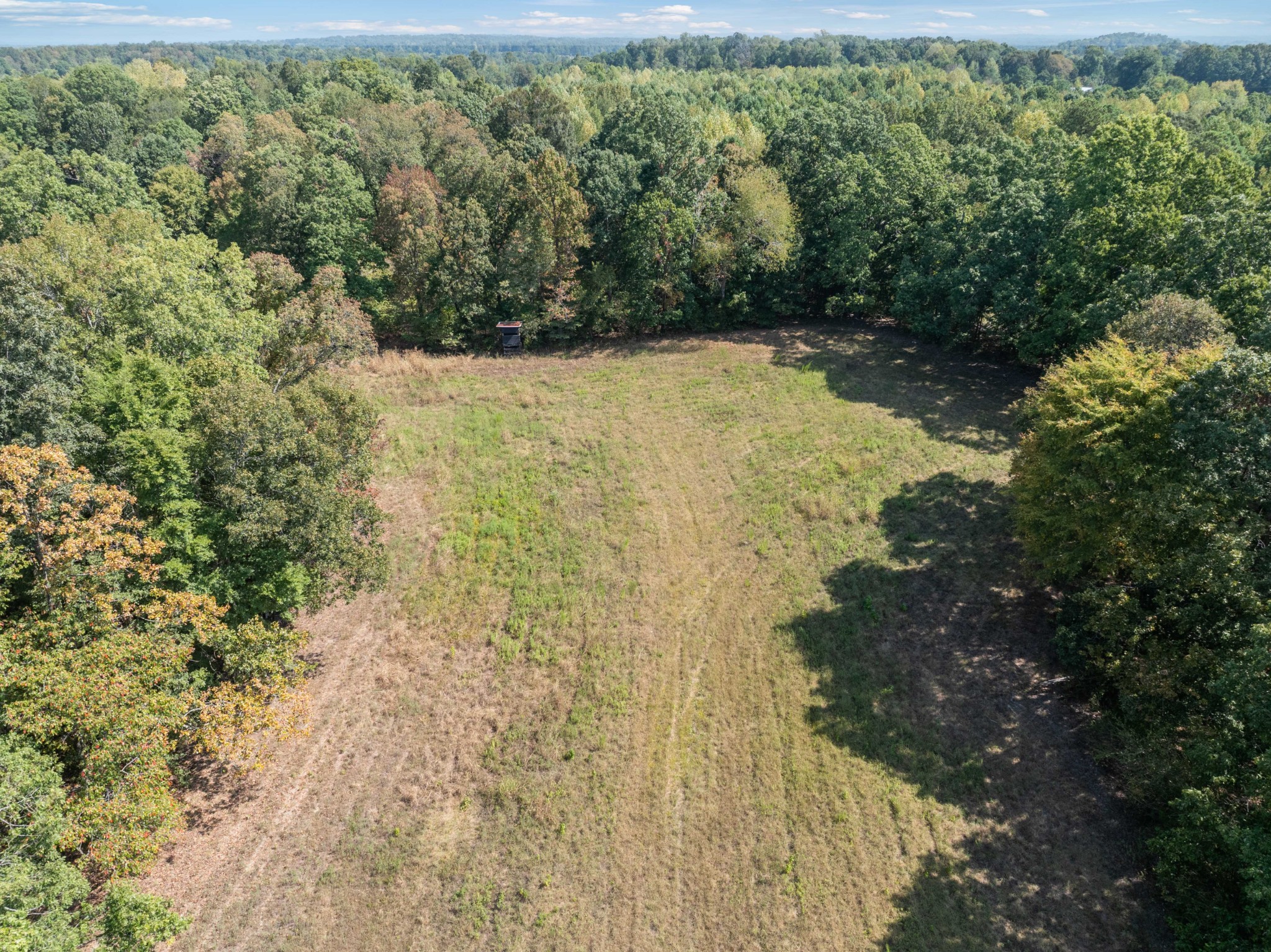 3379 Old Stage Rd Property Photo 44
