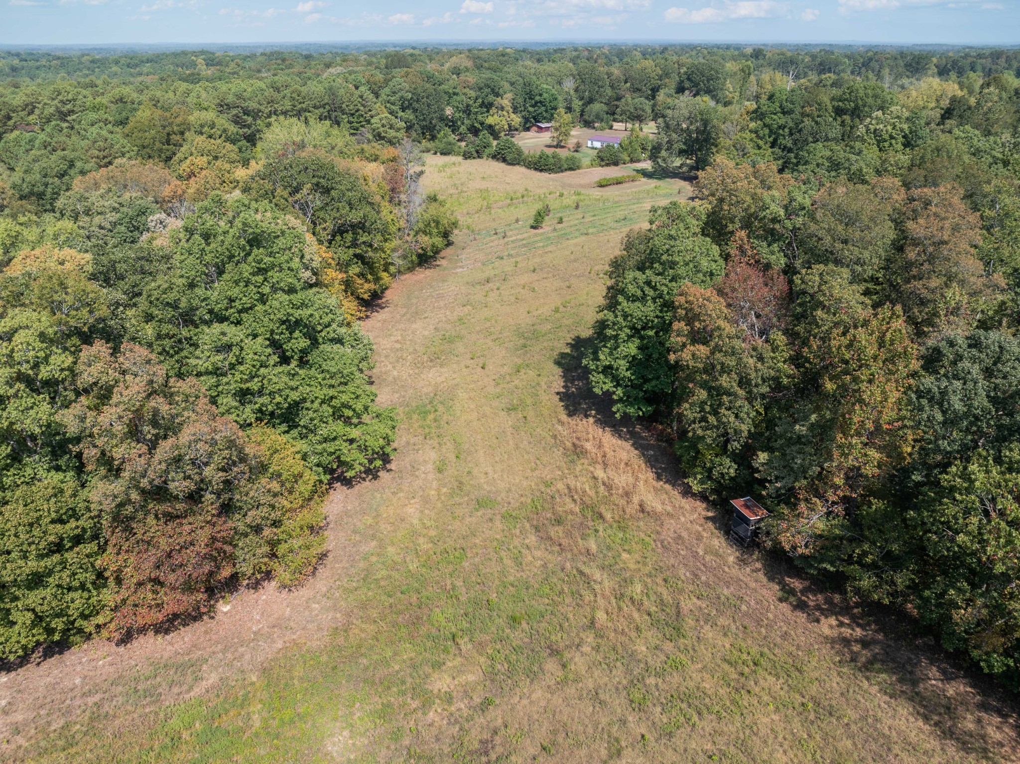 3379 Old Stage Rd Property Photo 46
