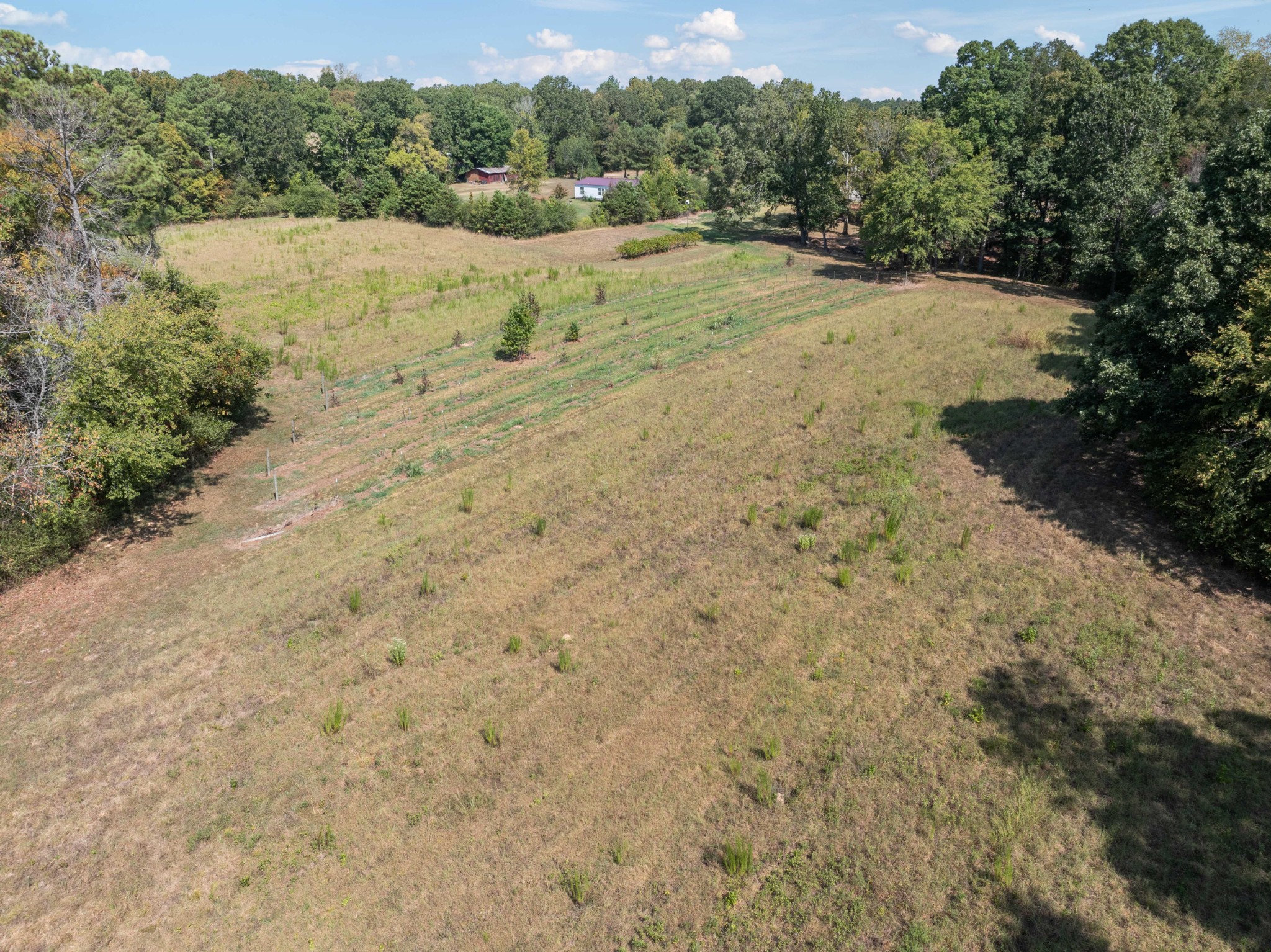 3379 Old Stage Rd Property Photo 47