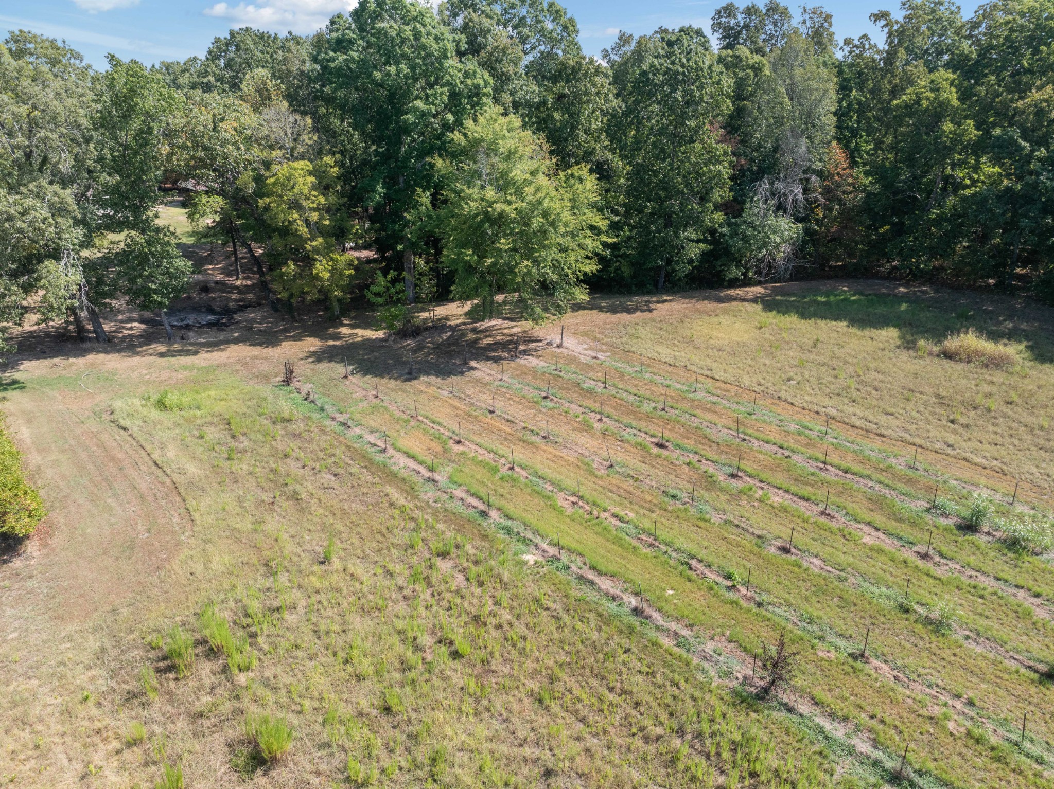 3379 Old Stage Rd Property Photo 48